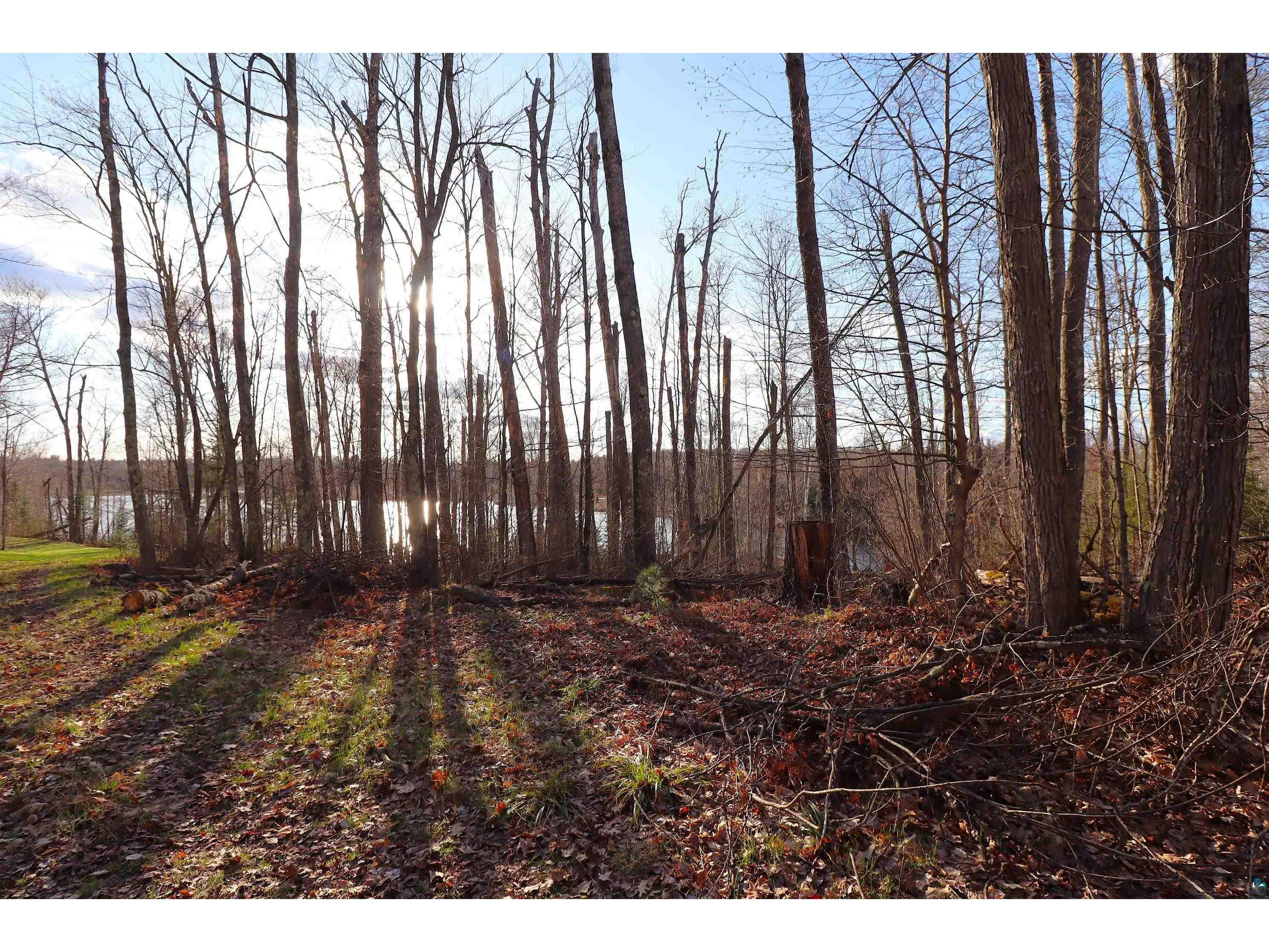 Lot 4 Canvasback Ln Hayward WI 54843 - Mud Lake 6124826 image12