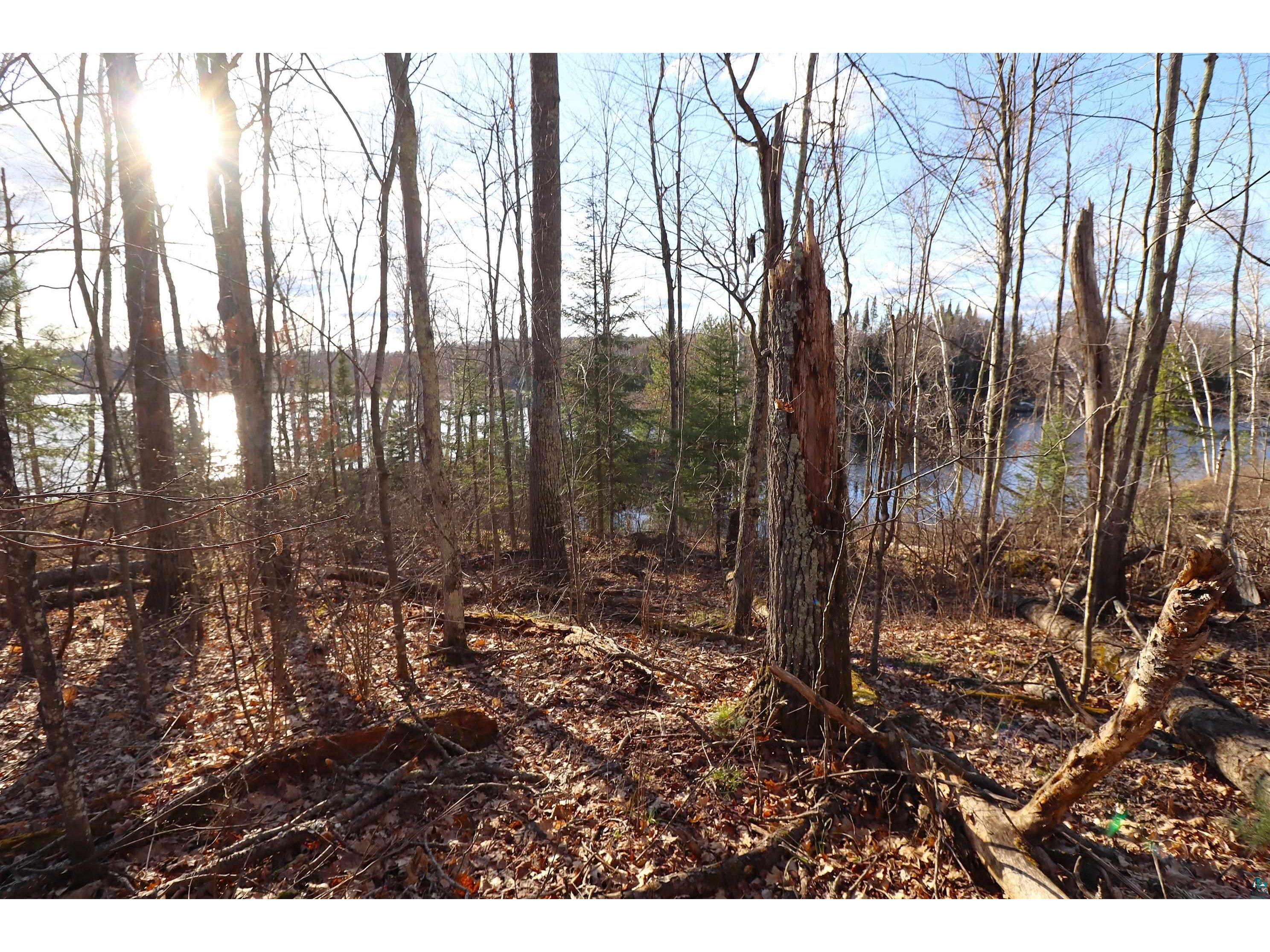 Lot 4 Canvasback Ln Hayward WI 54843 - Mud Lake 6124826 image14