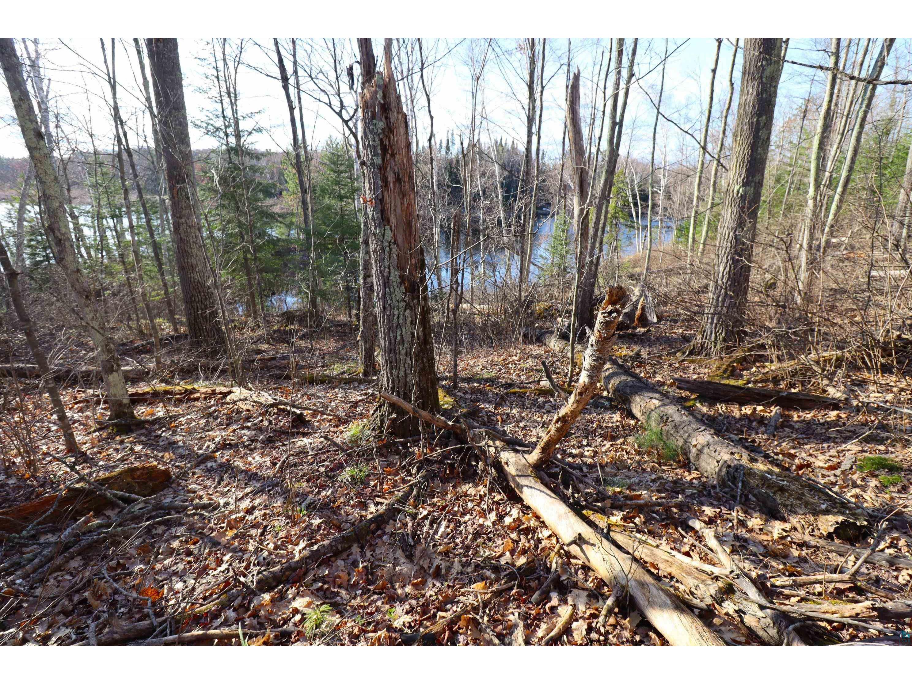 Lot 4 Canvasback Ln Hayward WI 54843 - Mud Lake 6124826 image15