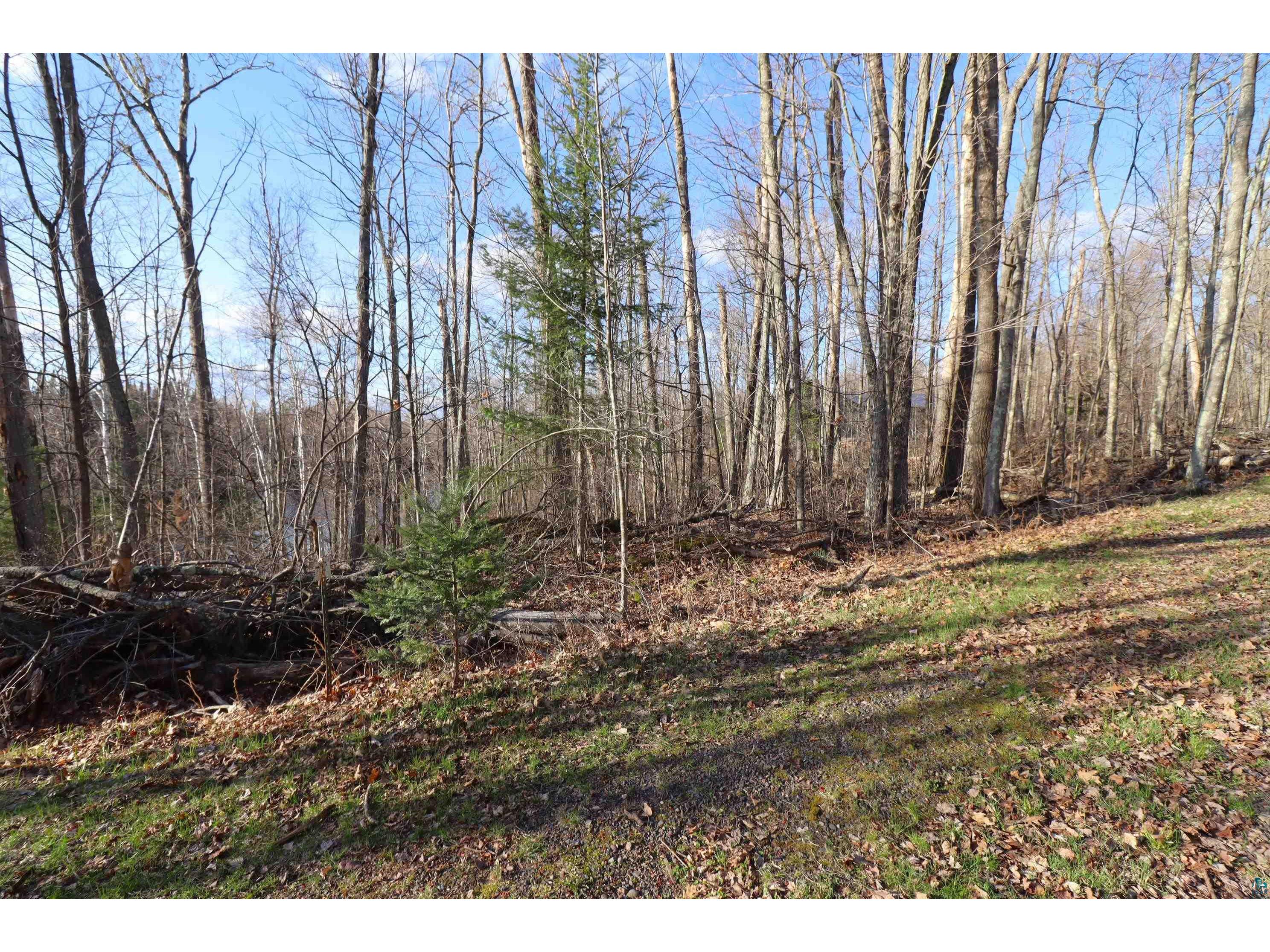Lot 4 Canvasback Ln Hayward WI 54843 - Mud Lake 6124826 image16
