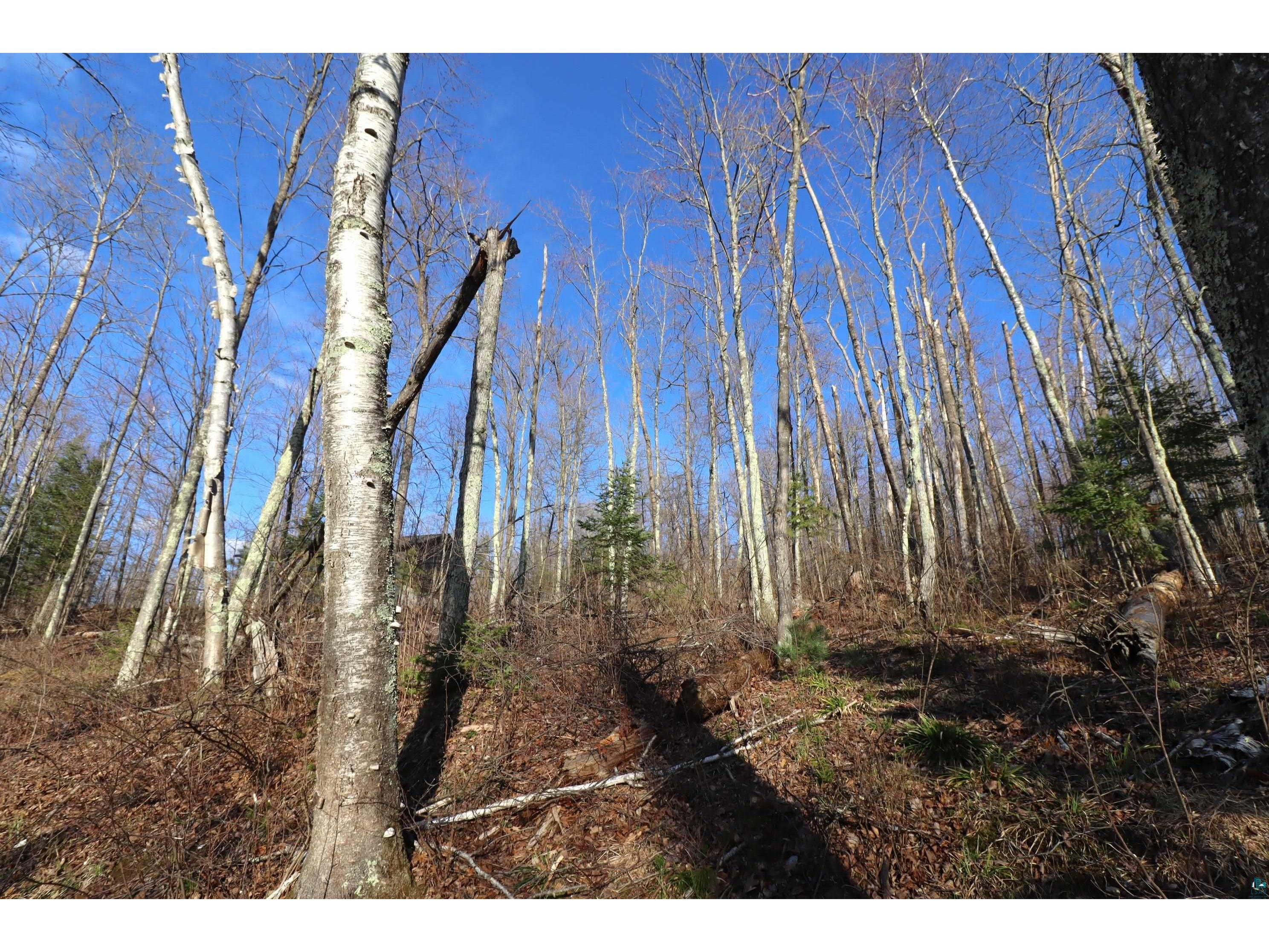 Lot 4 Canvasback Ln Hayward WI 54843 - Mud Lake 6124826 image17