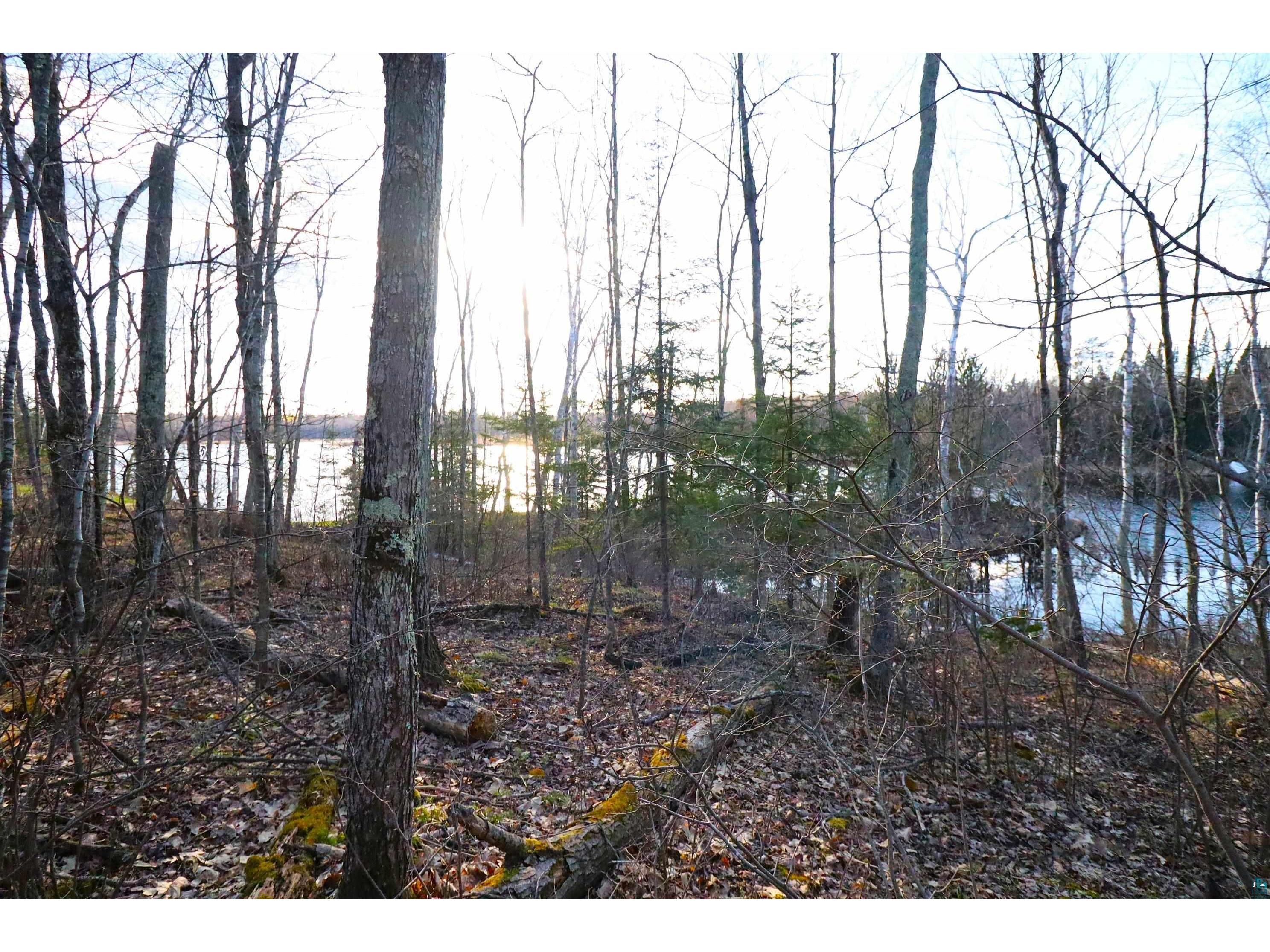 Lot 4 Canvasback Ln Hayward WI 54843 - Mud Lake 6124826 image18