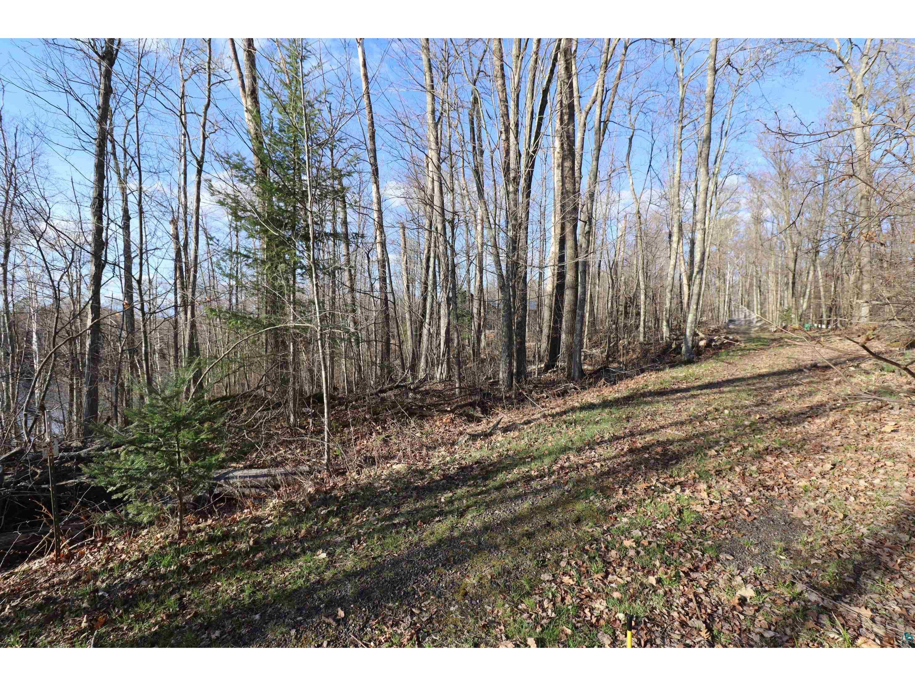 Lot 4 Canvasback Ln Hayward WI 54843 - Mud Lake 6124826 image19