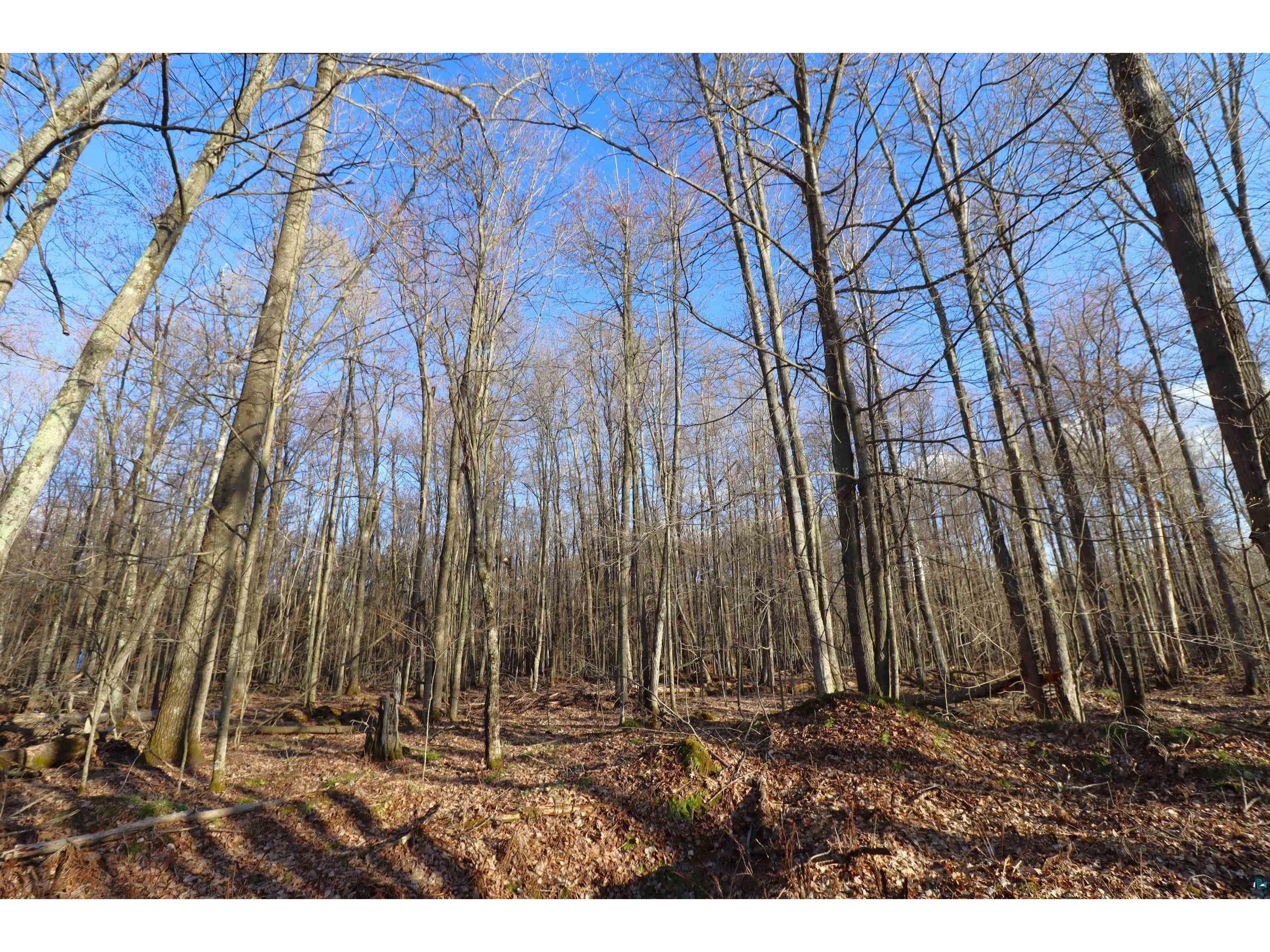 Lot 4 Canvasback Ln Hayward WI 54843 - Mud Lake 6124826 image20