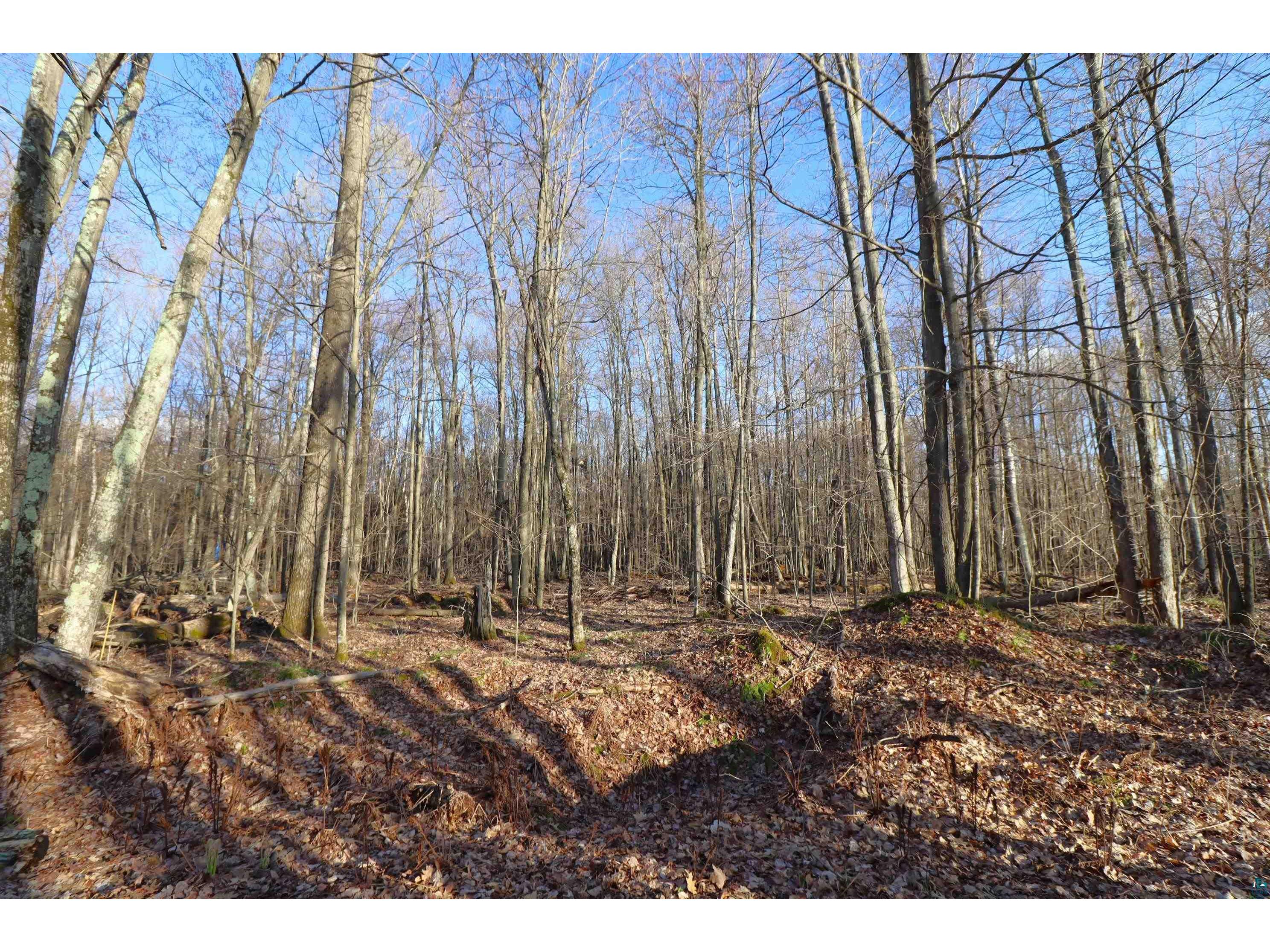 Lot 4 Canvasback Ln Hayward WI 54843 - Mud Lake 6124826 image21