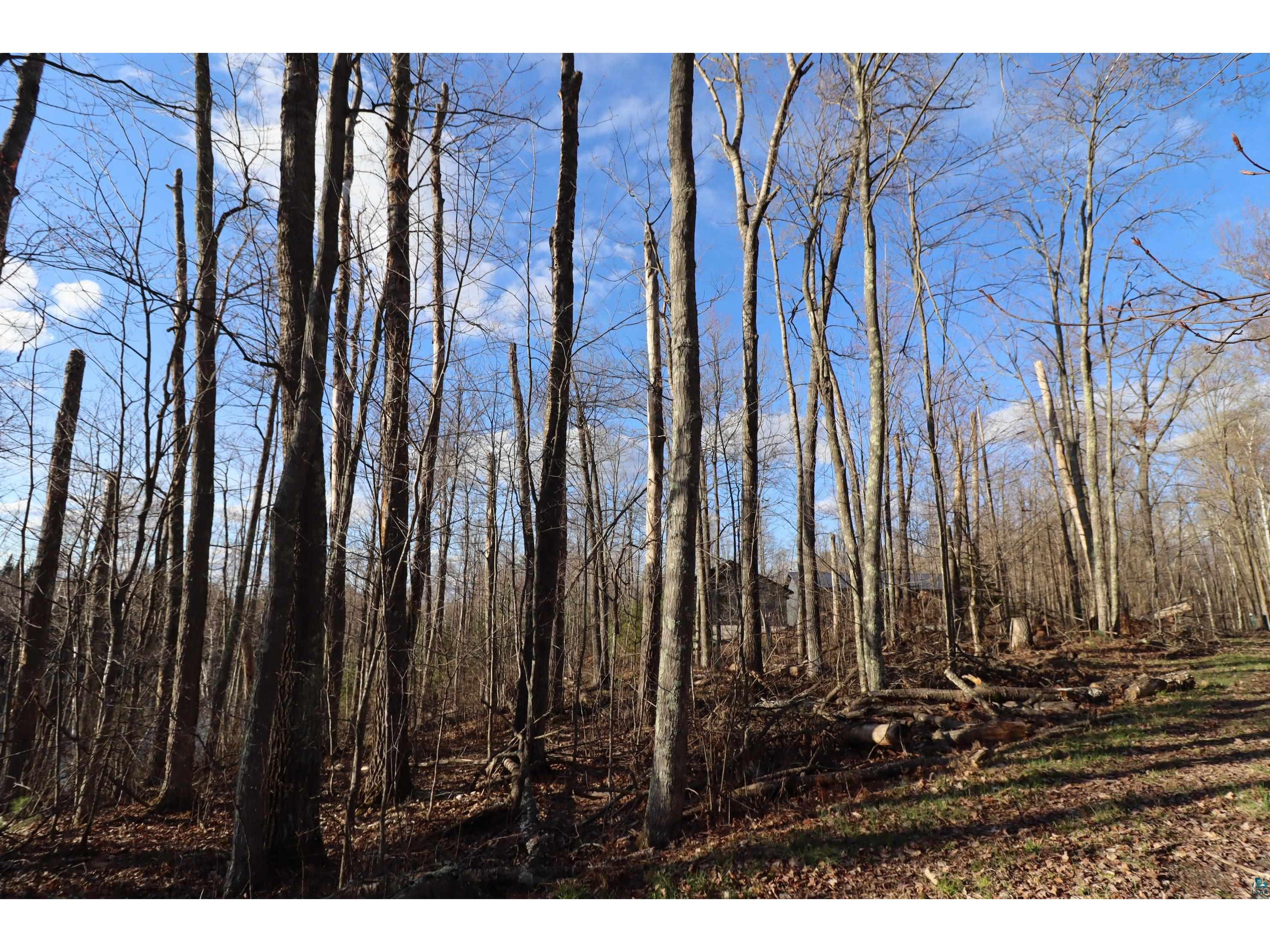 Lot 4 Canvasback Ln Hayward WI 54843 - Mud Lake 6124826 image22