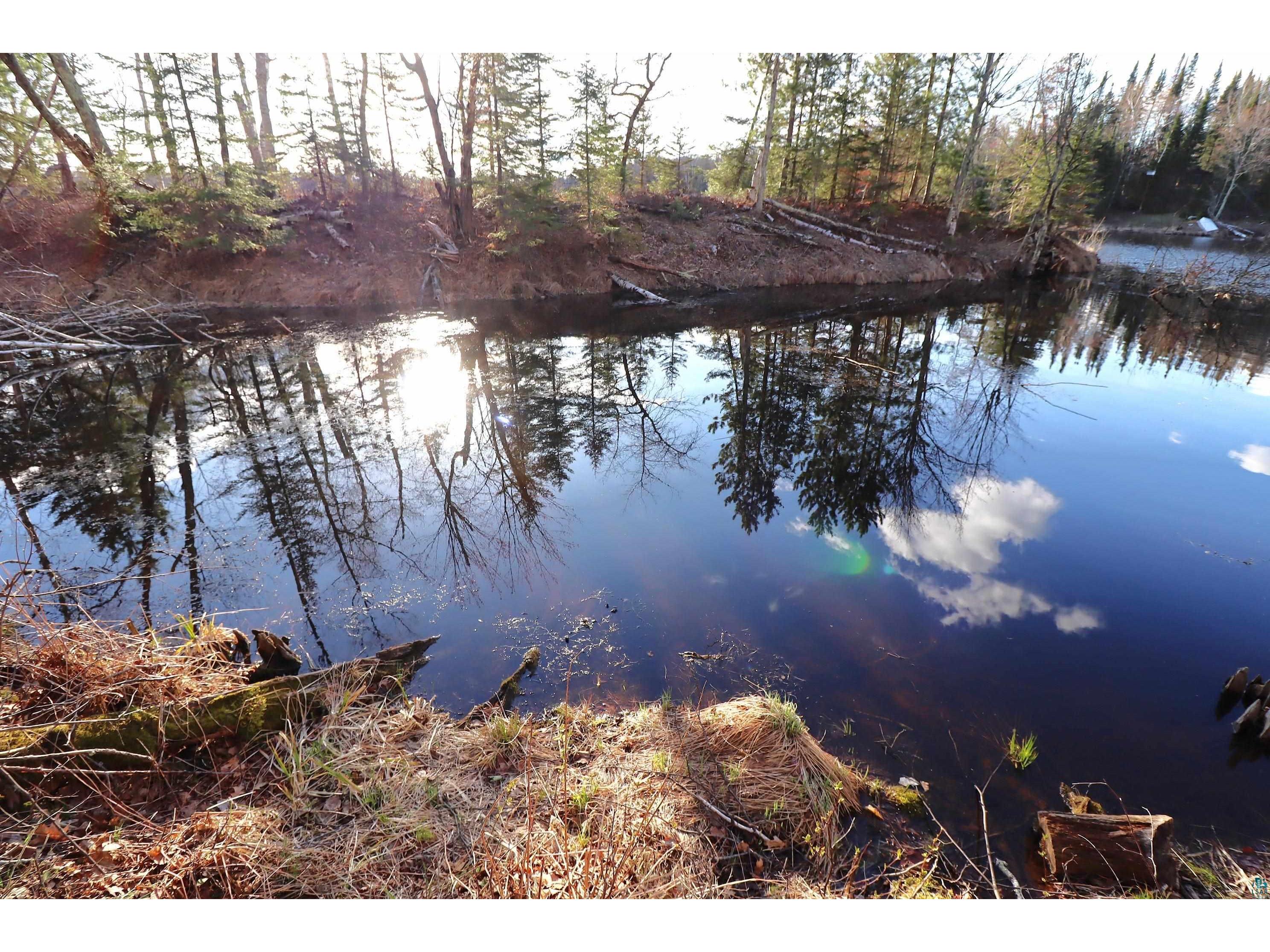 Lot 4 Canvasback Ln Hayward WI 54843 - Mud Lake 6124826 image5