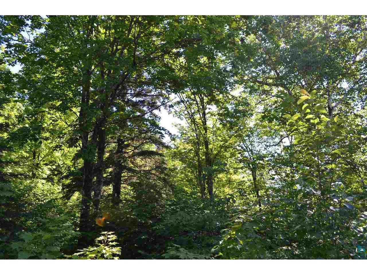 Lot 4 Maple Leaf Tr Lutsen MN 55612 6109822 image1