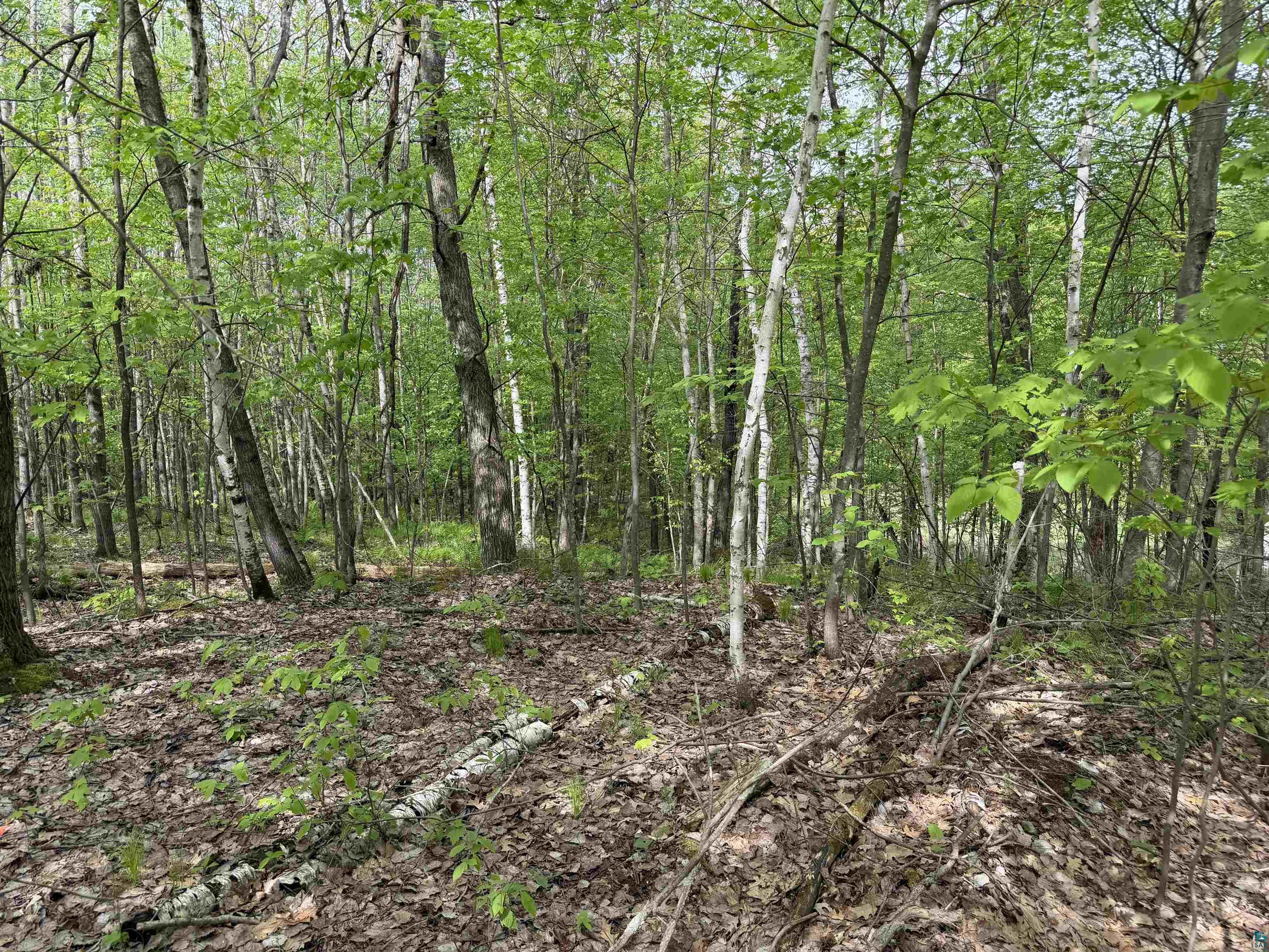 Lot 4 Peterson Rd Wascott WI 54859 6125210 image1
