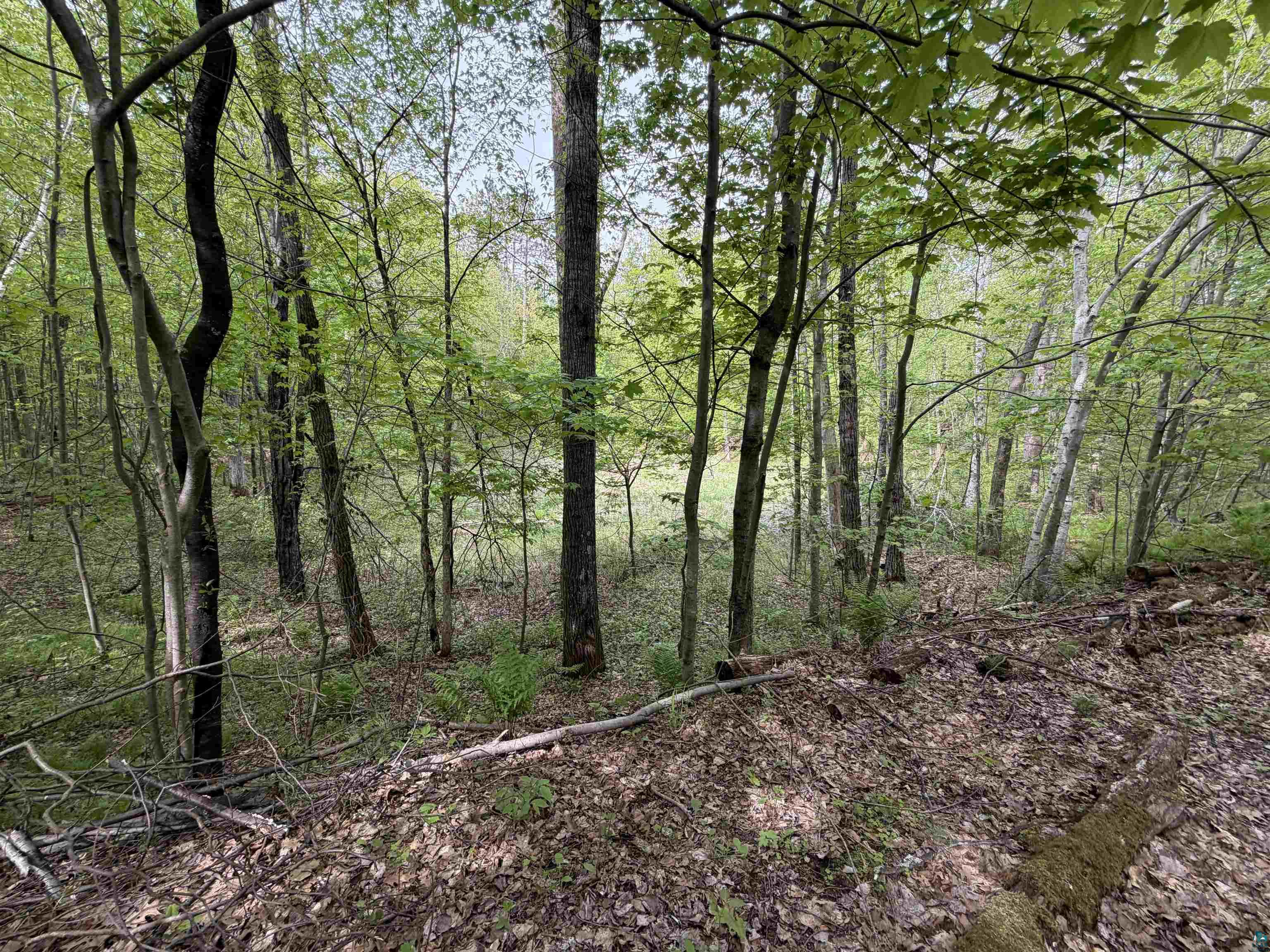 Lot 4 Peterson Rd Wascott WI 54859 6125210 image3