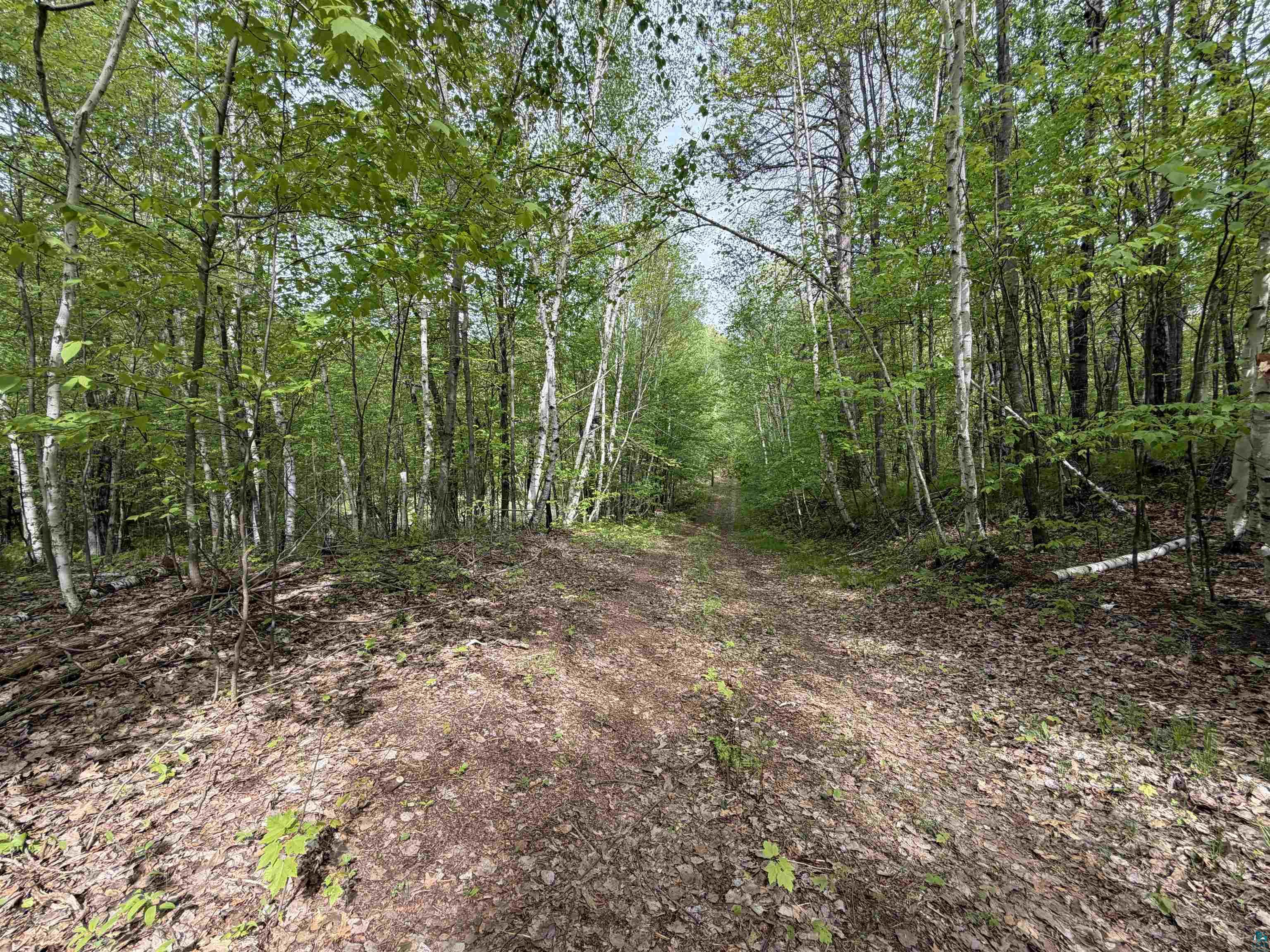 Lot 4 Peterson Rd Wascott WI 54859 6125210 image4