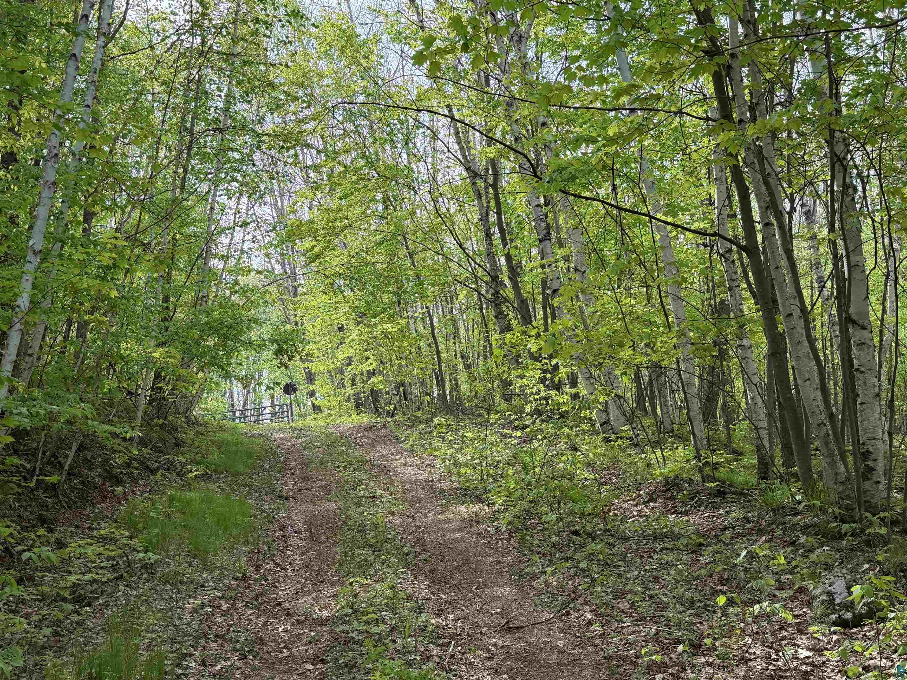 Lot 4 Peterson Rd Wascott WI 54859 6125210 image5