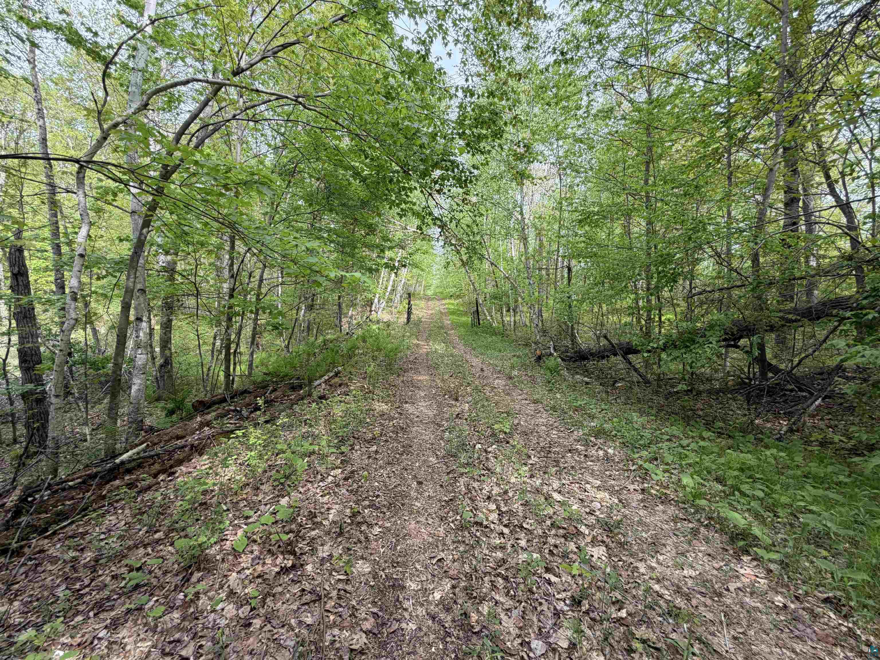Lot 4 Peterson Rd Wascott WI 54859 6125210 image6