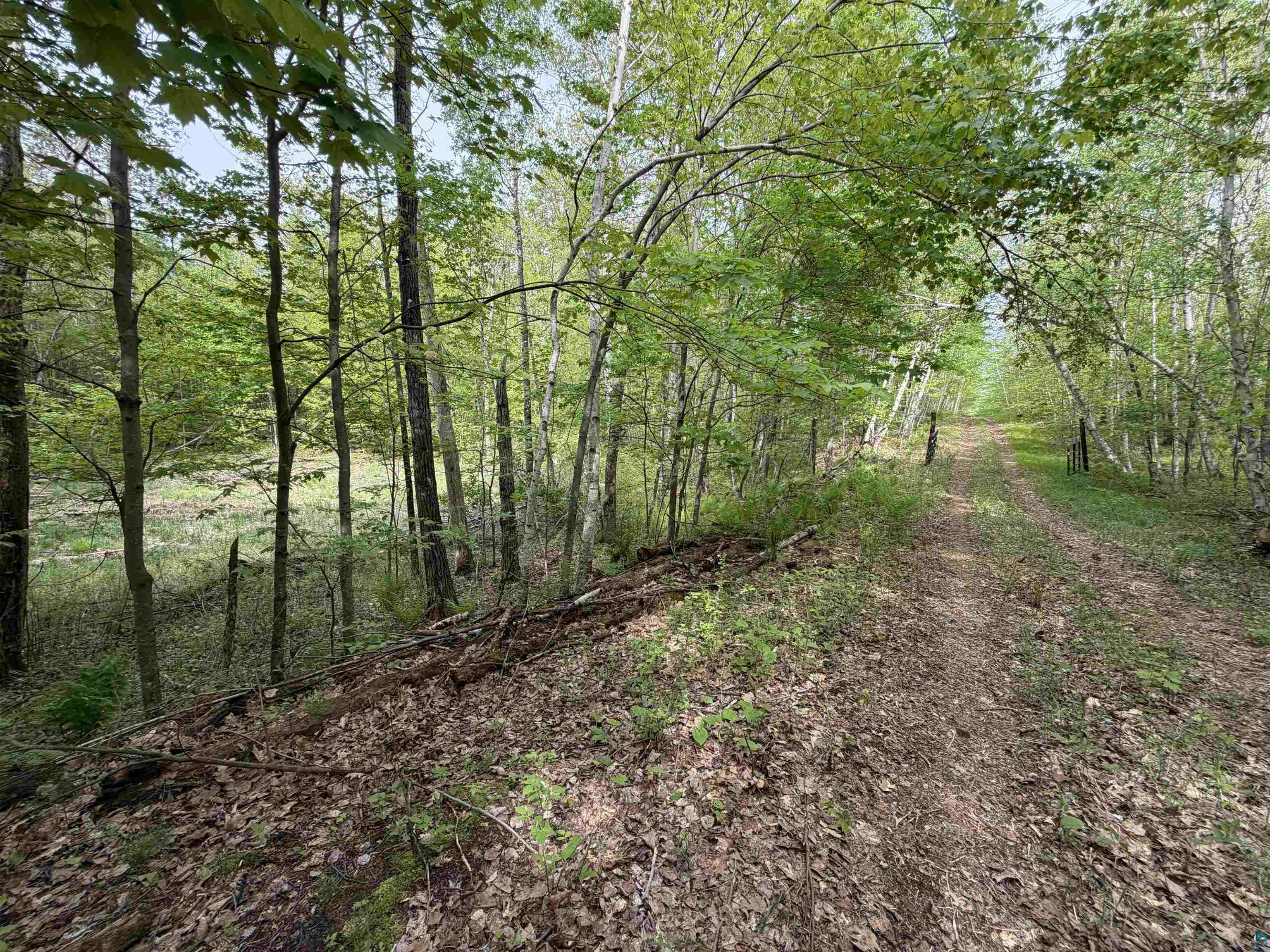 Lot 4 Peterson Rd Wascott WI 54859 6125210 image7