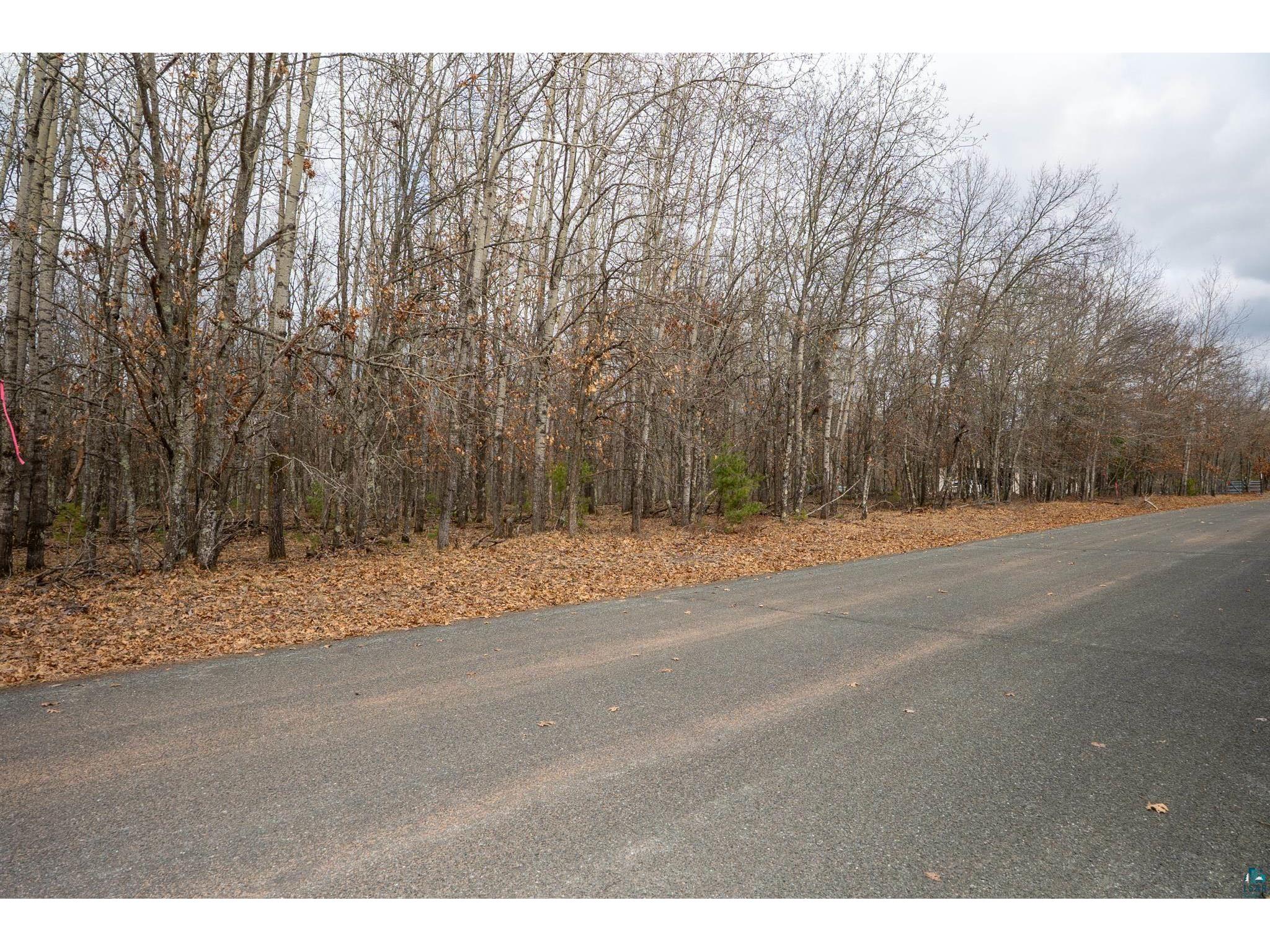 Lot 4 S Madison Ave Wascott WI 54838 6124307 image5