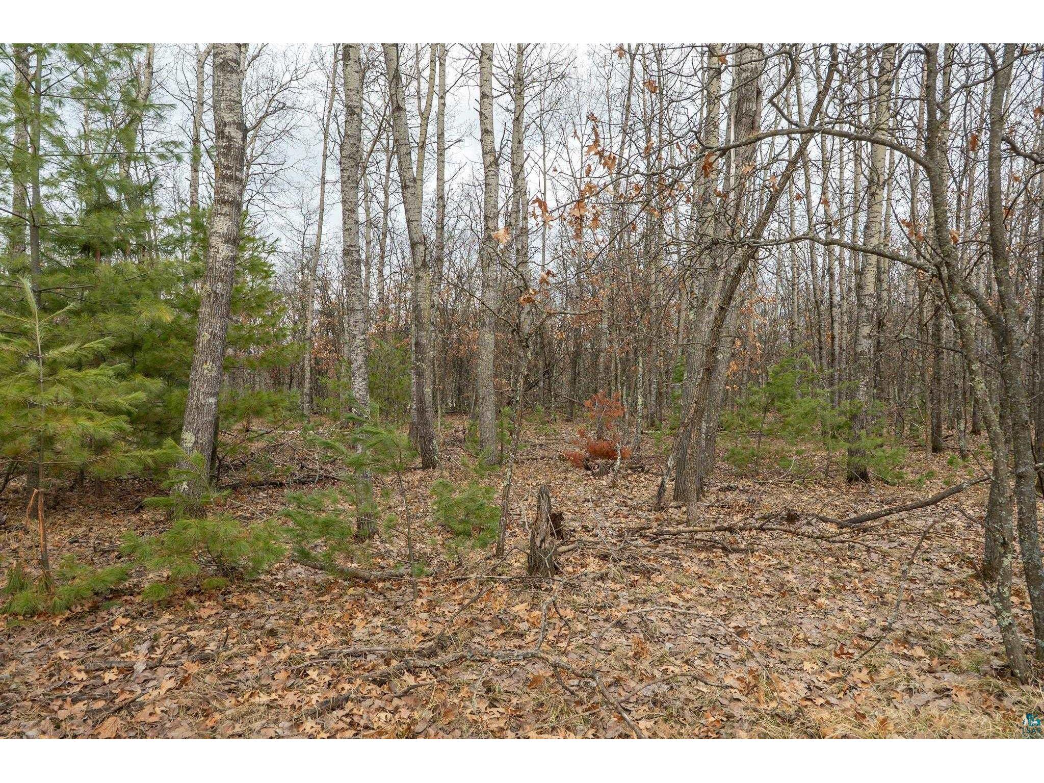 Lot 4 S Madison Ave Wascott WI 54838 6124307 image7