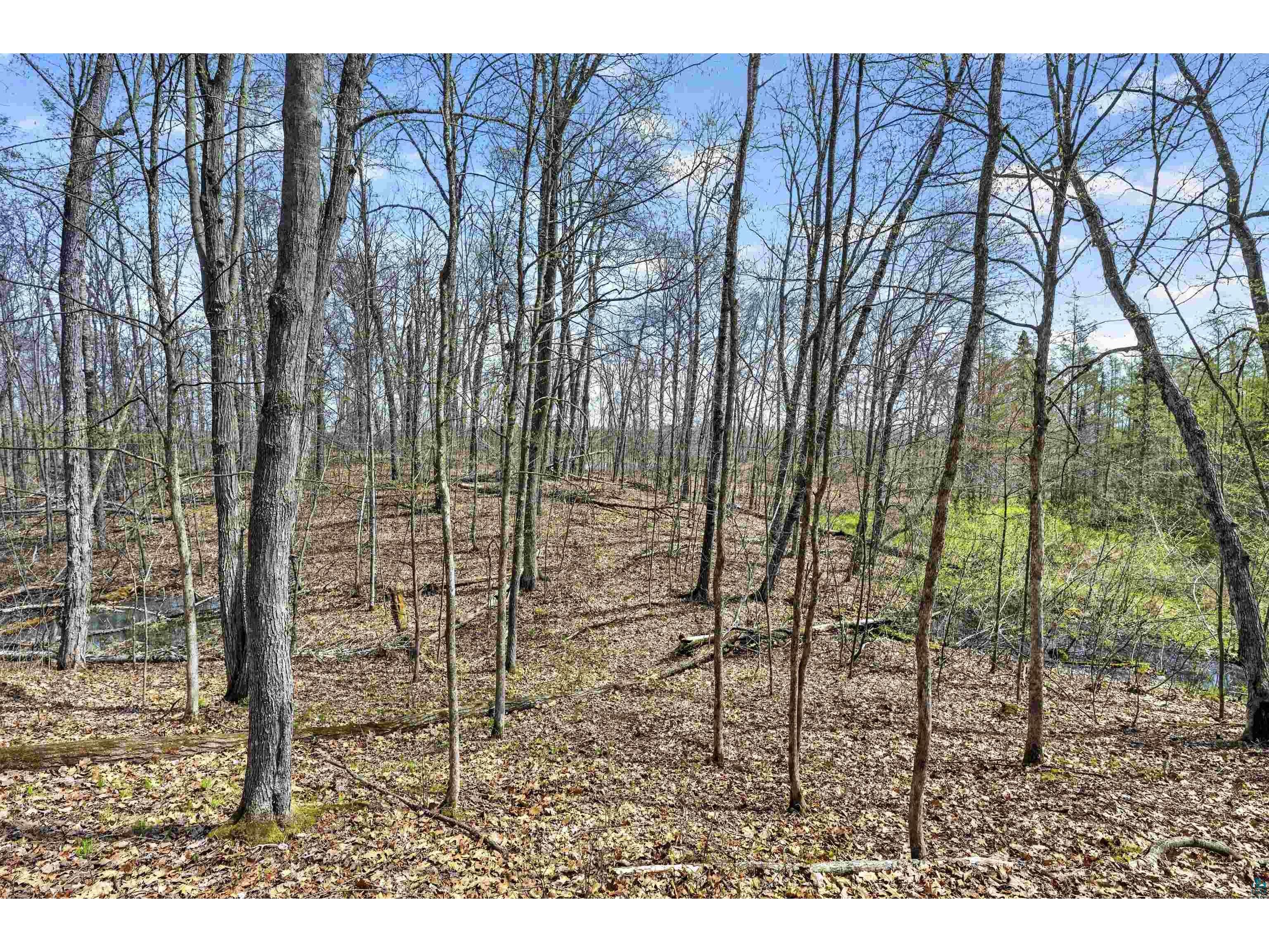 Lot 5 & 6 Peterson Rd Wascott WI 54859 - Crotty 6125193 image10