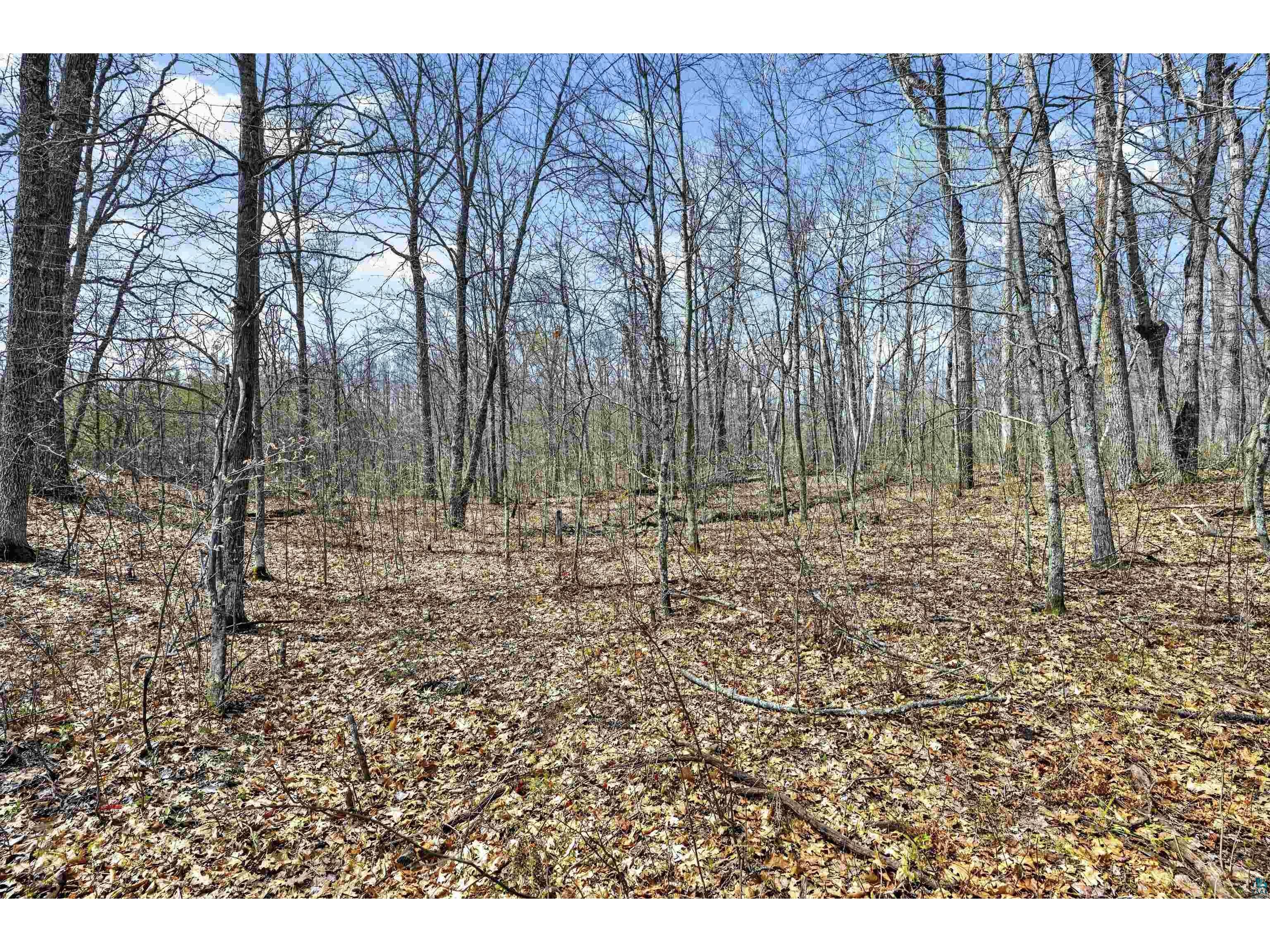 Lot 5 & 6 Peterson Rd Wascott WI 54859 - Crotty 6125193 image12