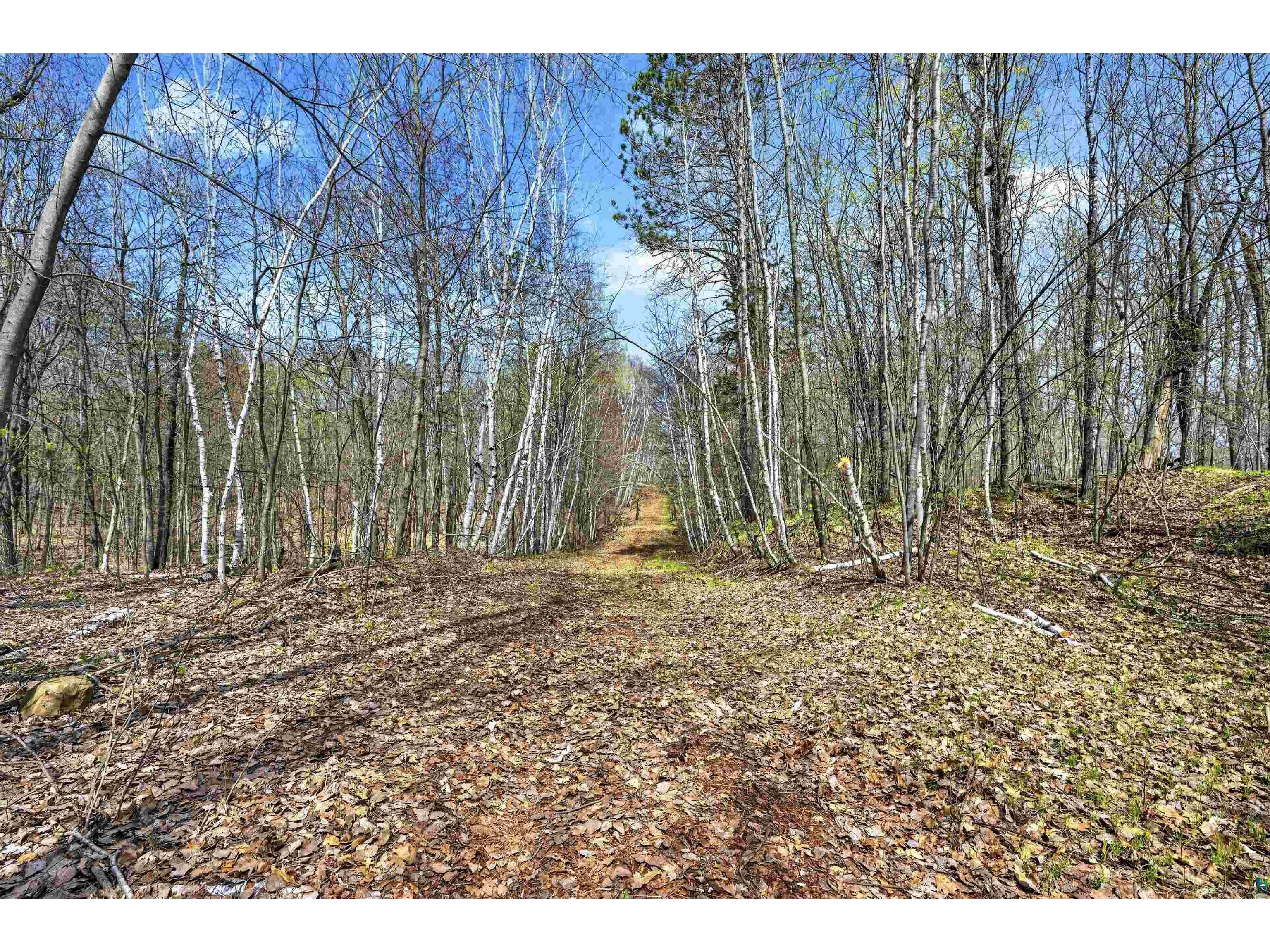 Lot 5 & 6 Peterson Rd Wascott WI 54859 - Crotty 6125193 image7