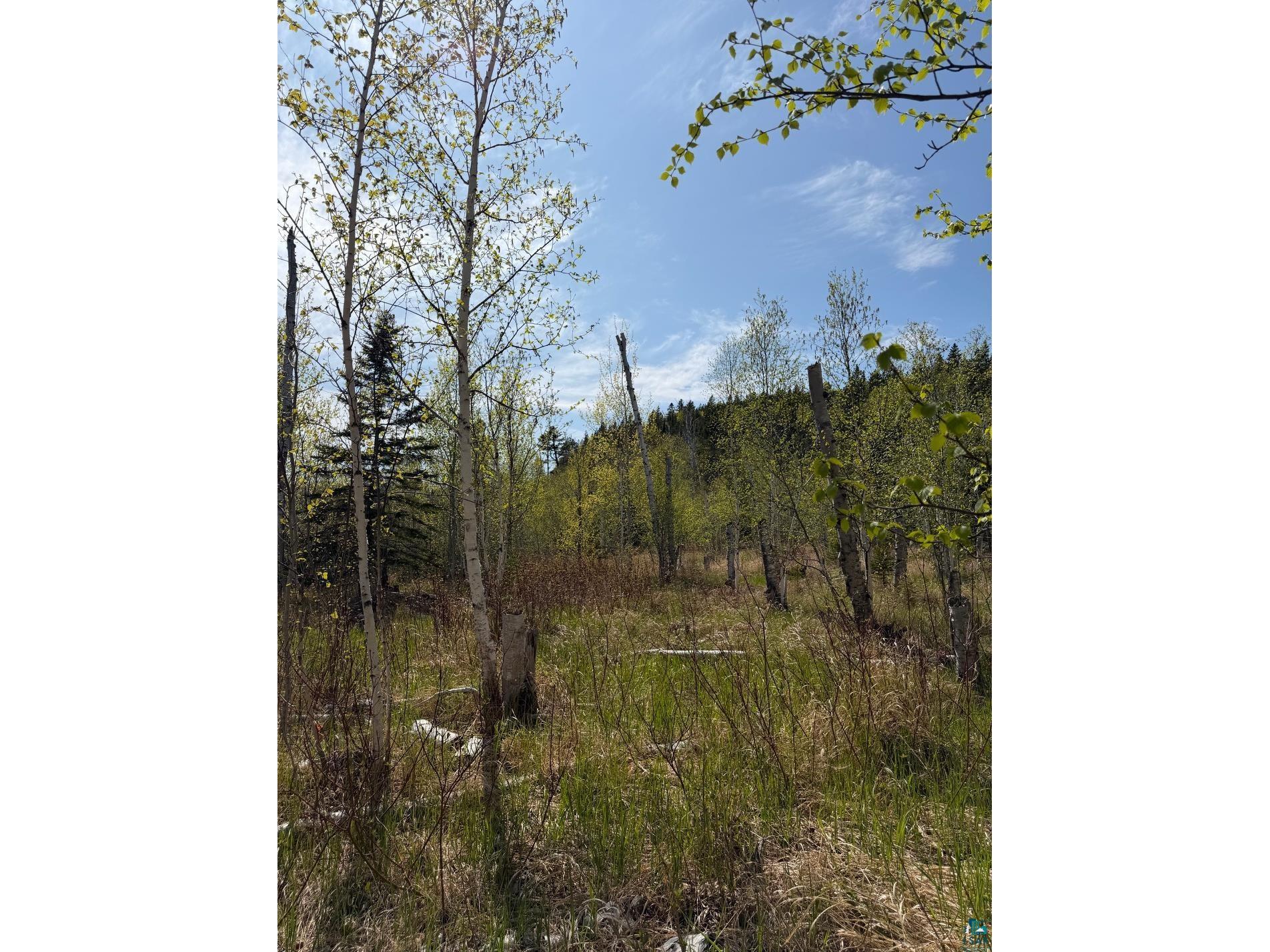 Lot 5 Birch Cliff Dr Tofte MN 55615 6126554 image1