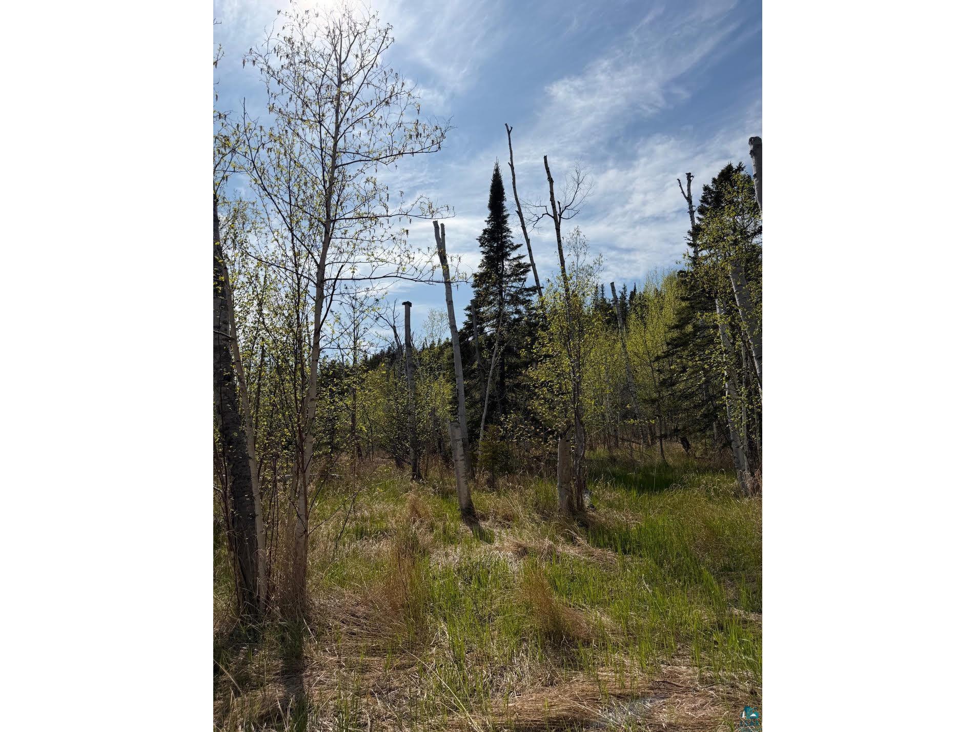 Lot 5 Birch Cliff Dr Tofte MN 55615 6126554 image11
