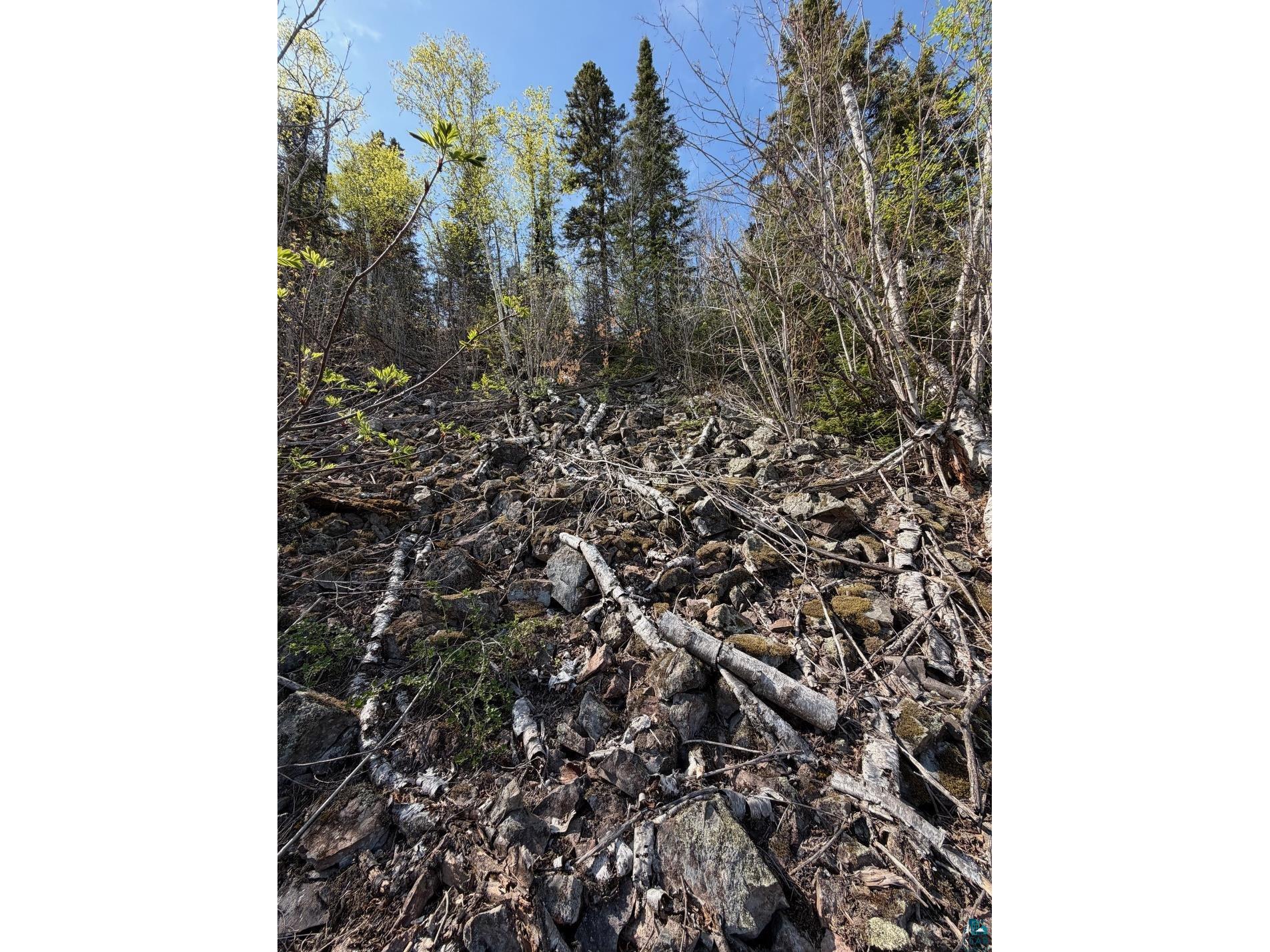 Lot 5 Birch Cliff Dr Tofte MN 55615 6126554 image12