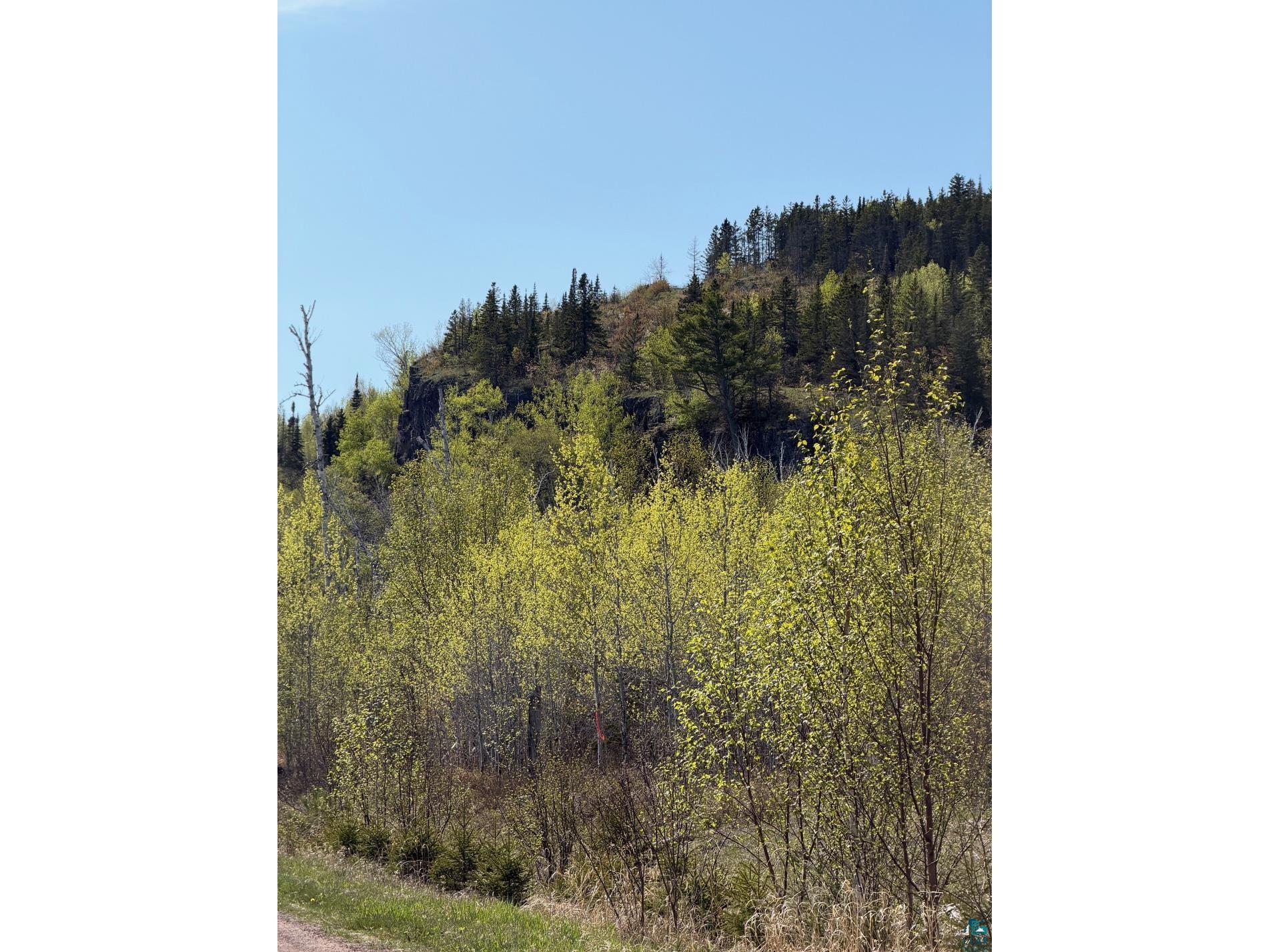Lot 5 Birch Cliff Dr Tofte MN 55615 6126554 image13