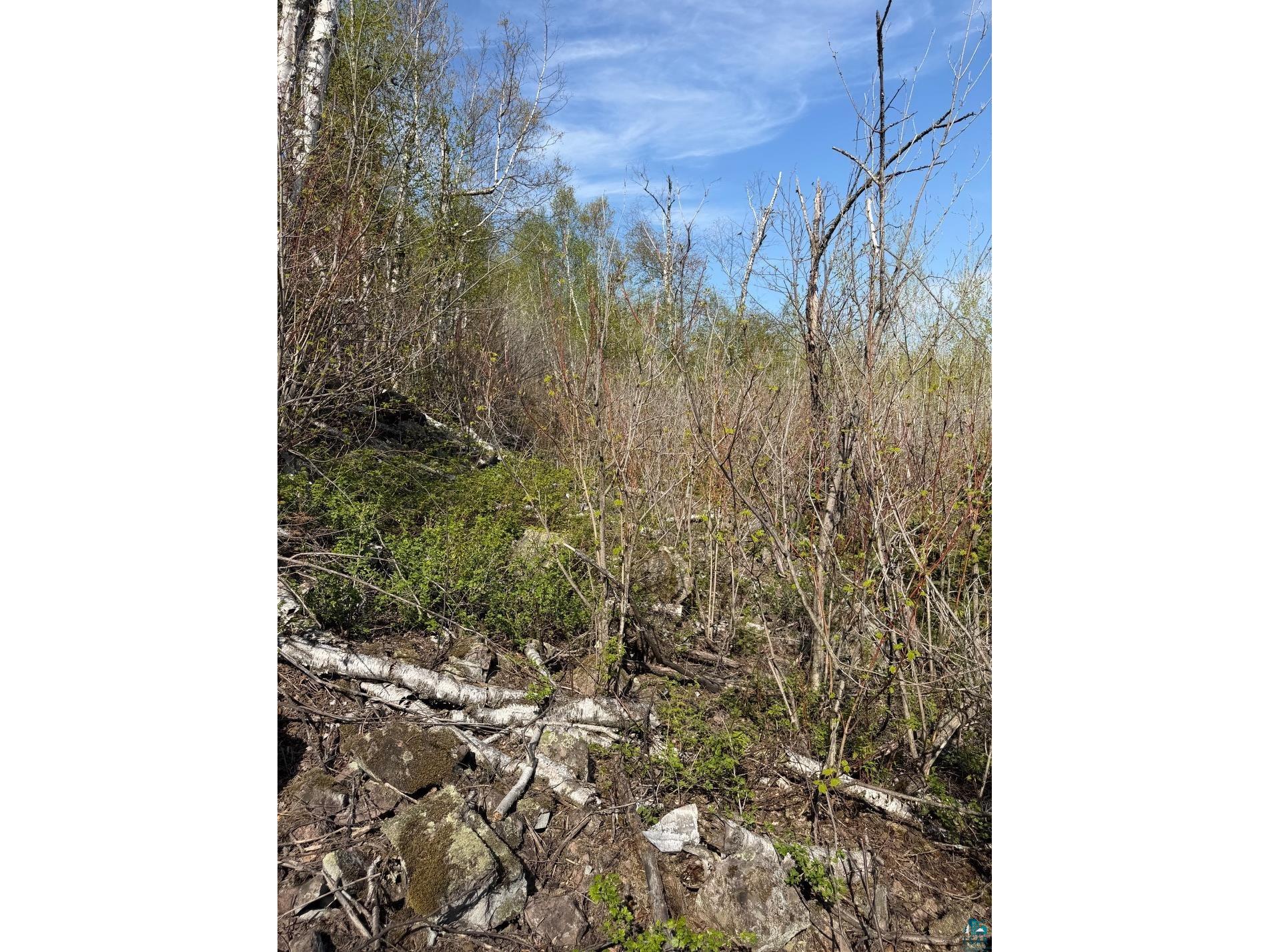 Lot 5 Birch Cliff Dr Tofte MN 55615 6126554 image14