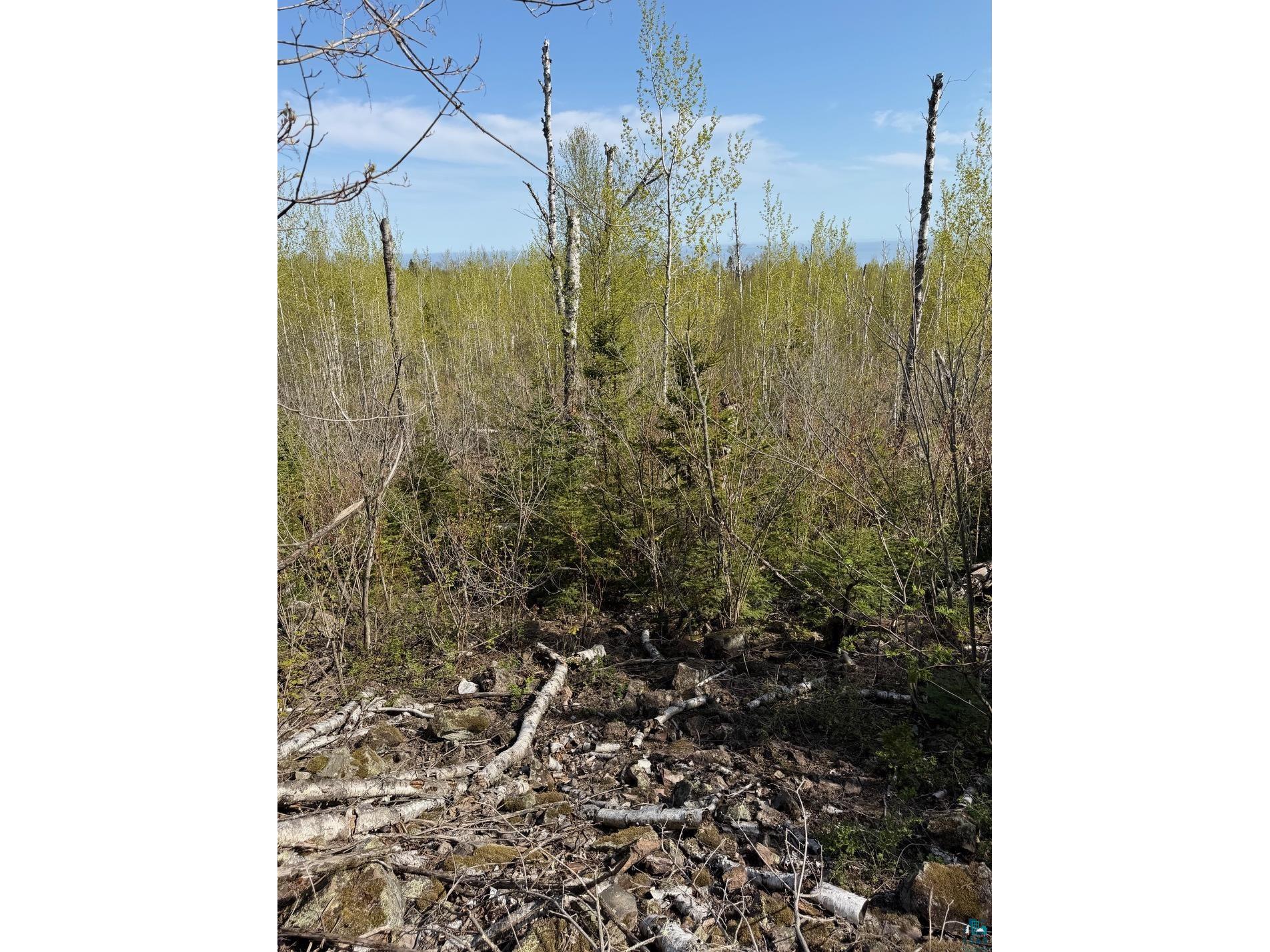 Lot 5 Birch Cliff Dr Tofte MN 55615 6126554 image15