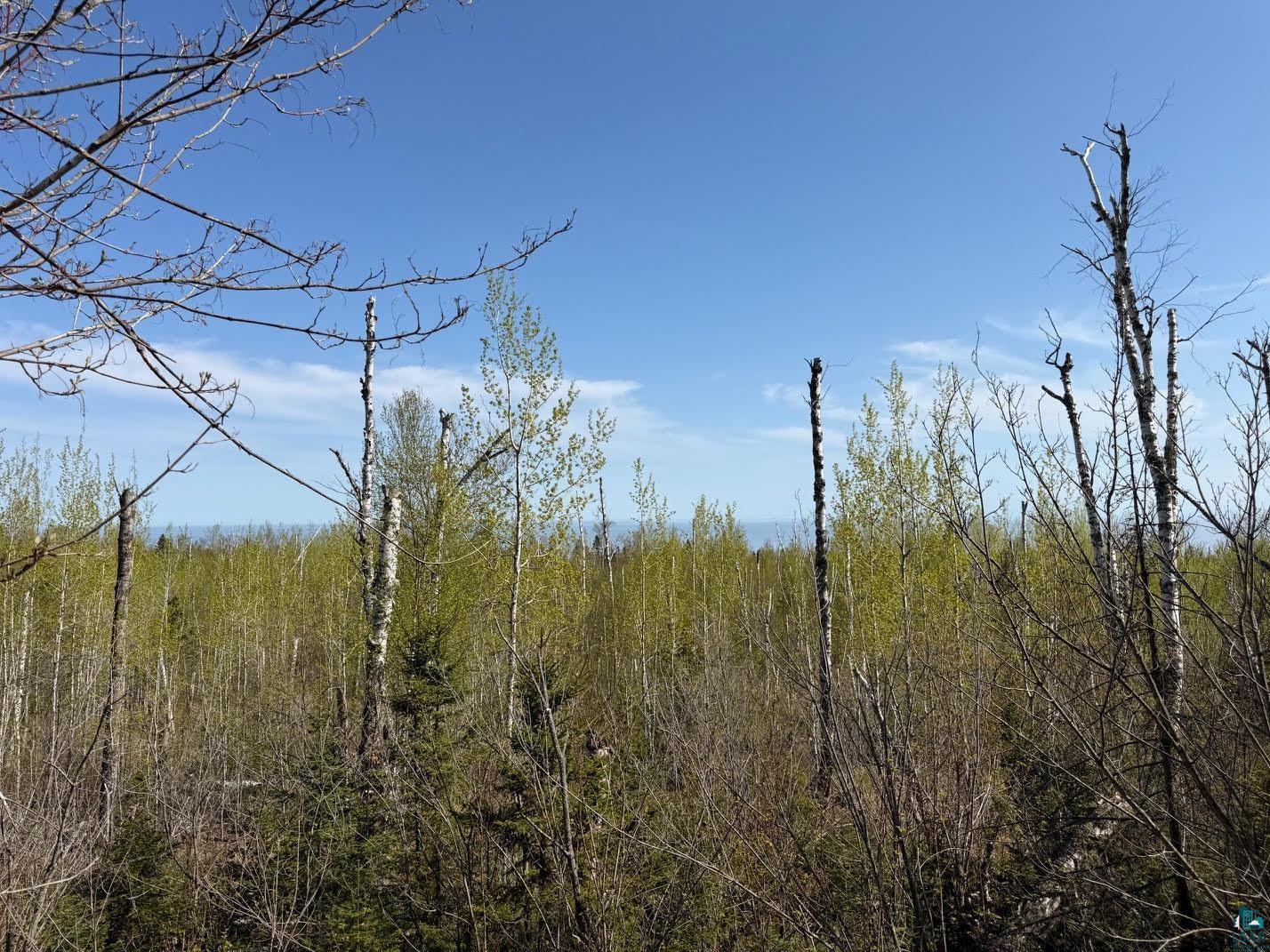 Lot 5 Birch Cliff Dr Tofte MN 55615 6126554 image16