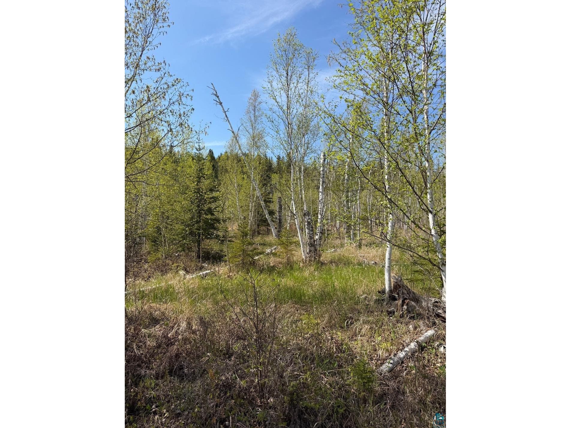 Lot 5 Birch Cliff Dr Tofte MN 55615 6126554 image17