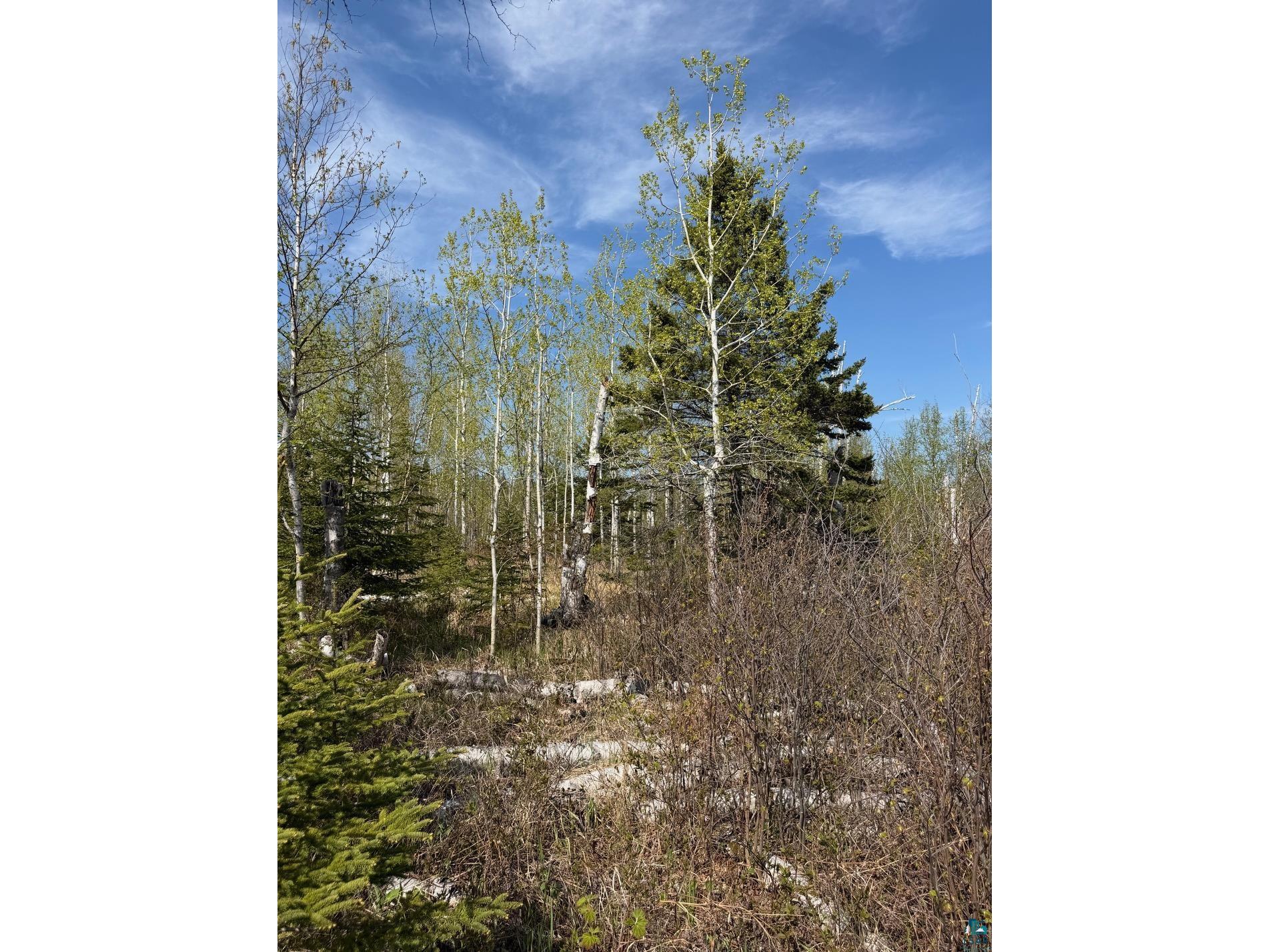 Lot 5 Birch Cliff Dr Tofte MN 55615 6126554 image18