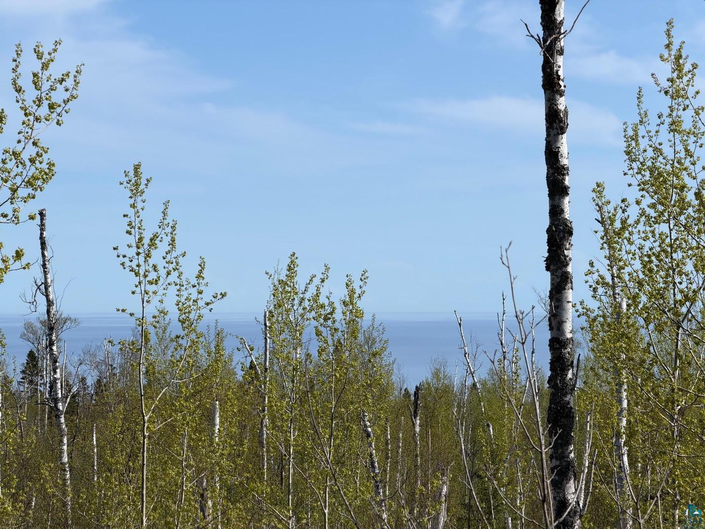 Lot 5 Birch Cliff Dr Tofte MN 55615 6126554 image2