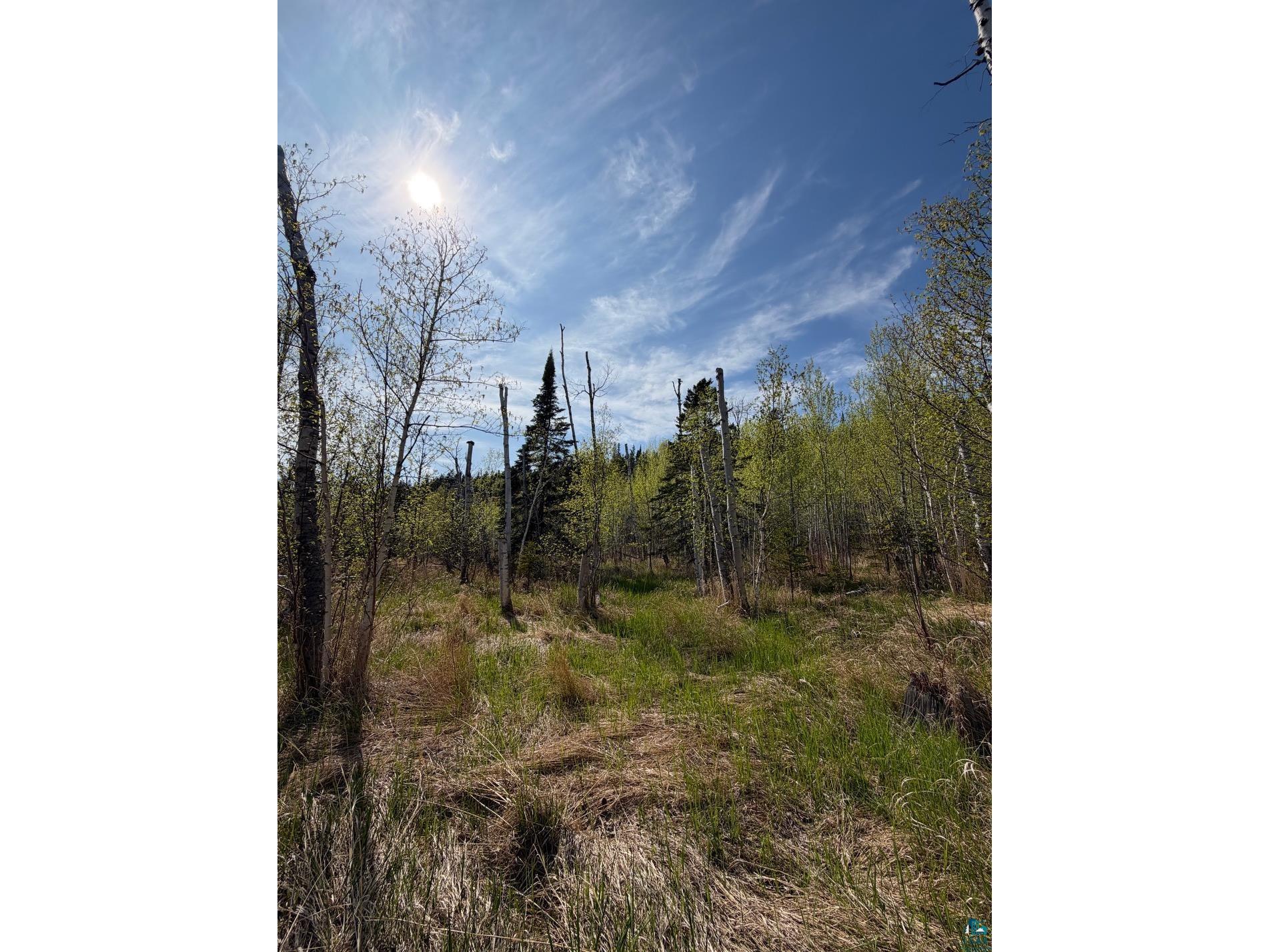 Lot 5 Birch Cliff Dr Tofte MN 55615 6126554 image20