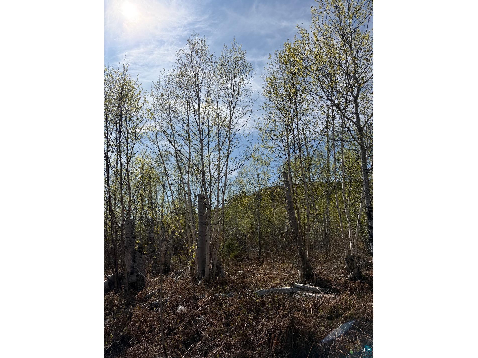 Lot 5 Birch Cliff Dr Tofte MN 55615 6126554 image21