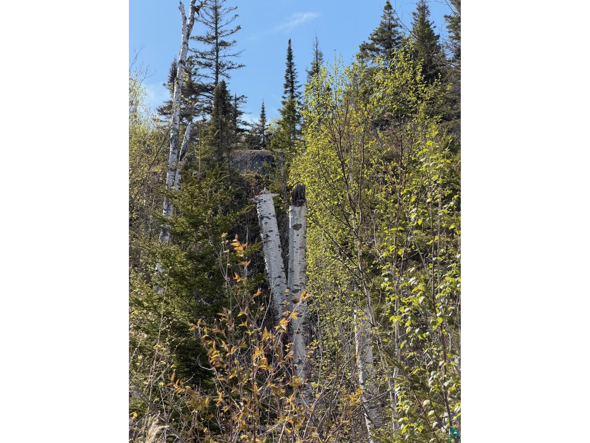 Lot 5 Birch Cliff Dr Tofte MN 55615 6126554 image22