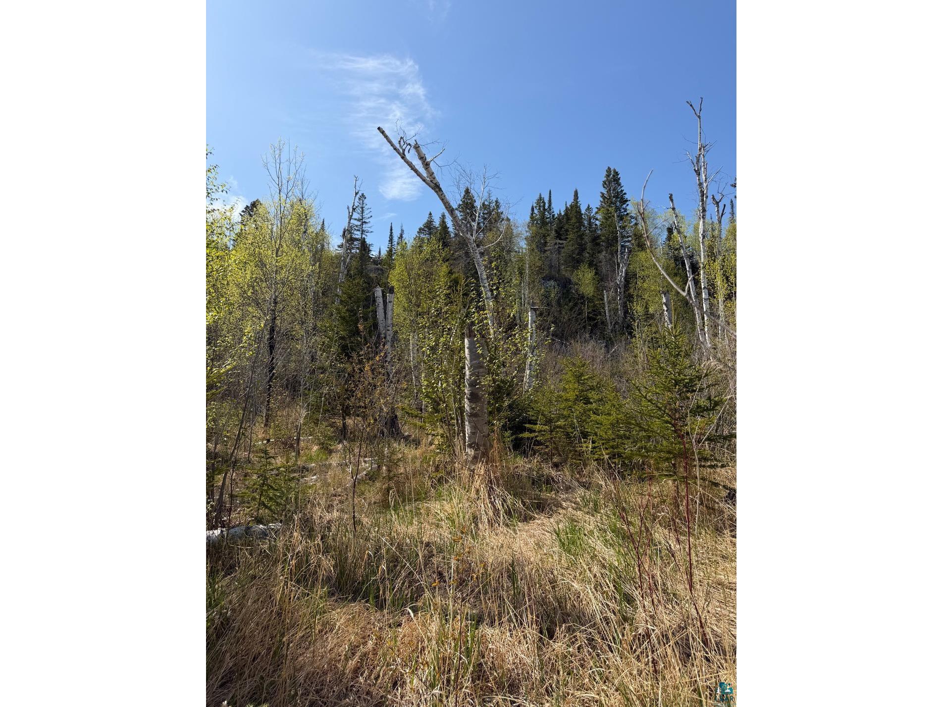 Lot 5 Birch Cliff Dr Tofte MN 55615 6126554 image23