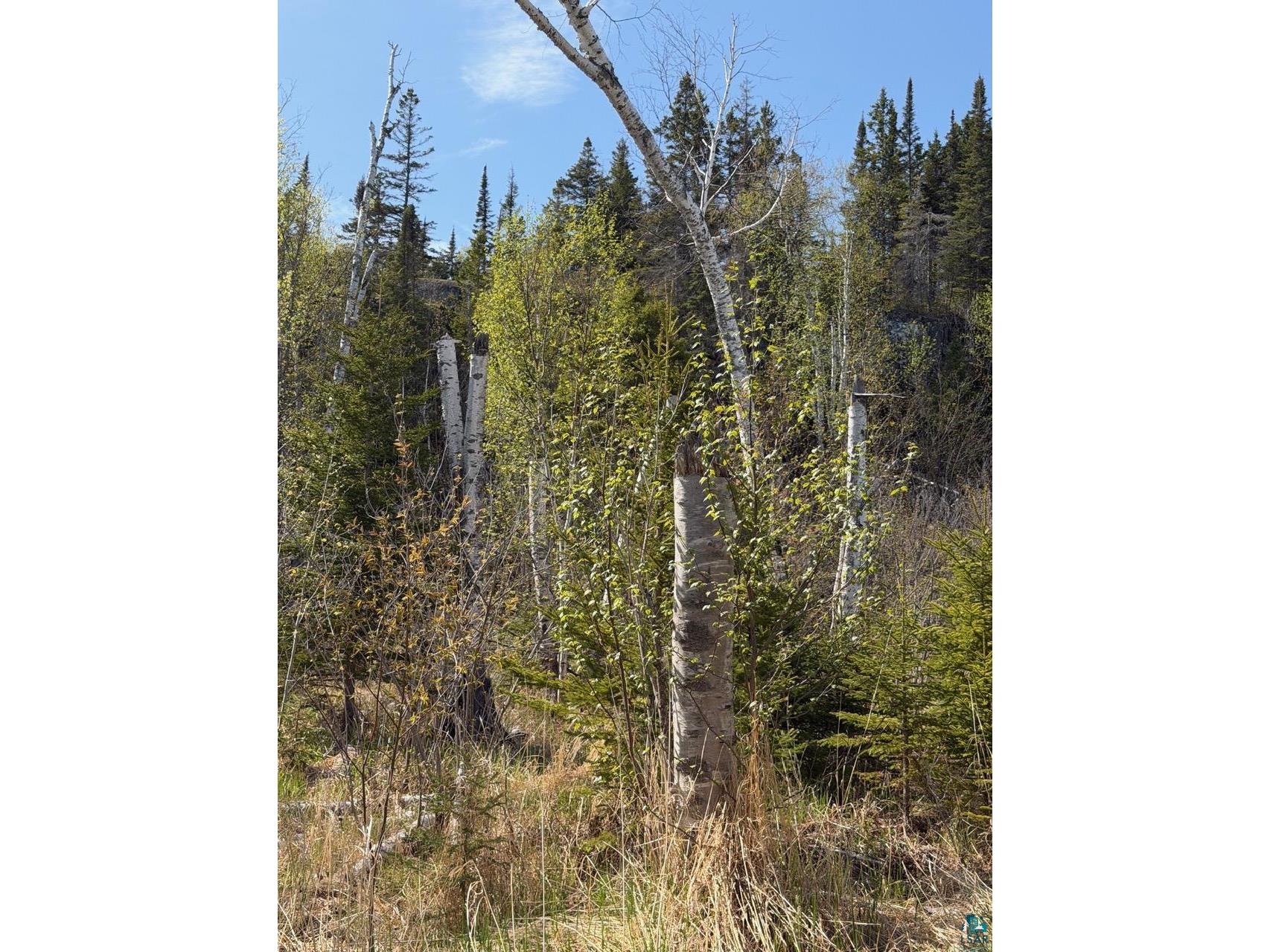 Lot 5 Birch Cliff Dr Tofte MN 55615 6126554 image24