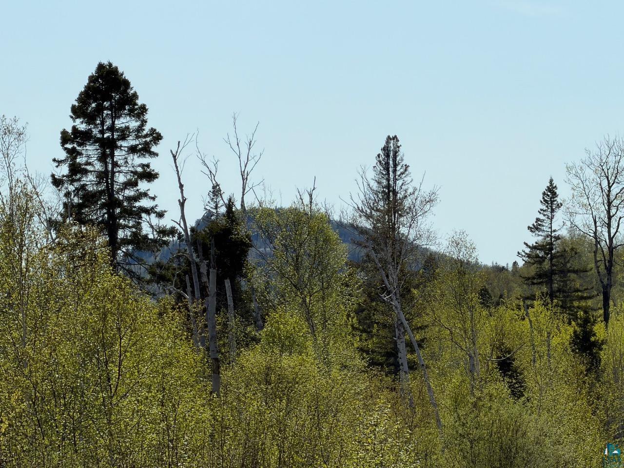 Lot 5 Birch Cliff Dr Tofte MN 55615 6126554 image26