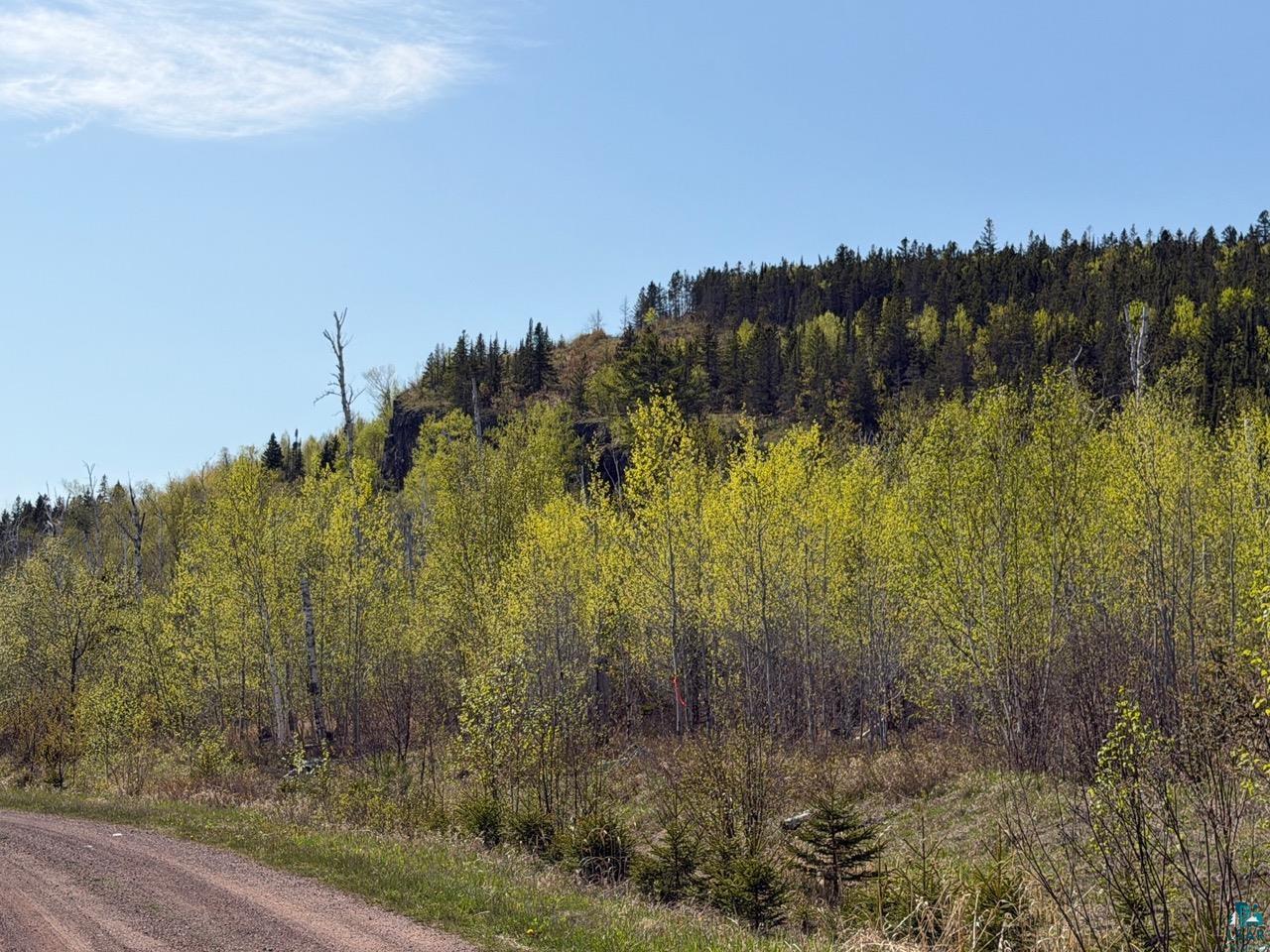 Lot 5 Birch Cliff Dr Tofte MN 55615 6126554 image27