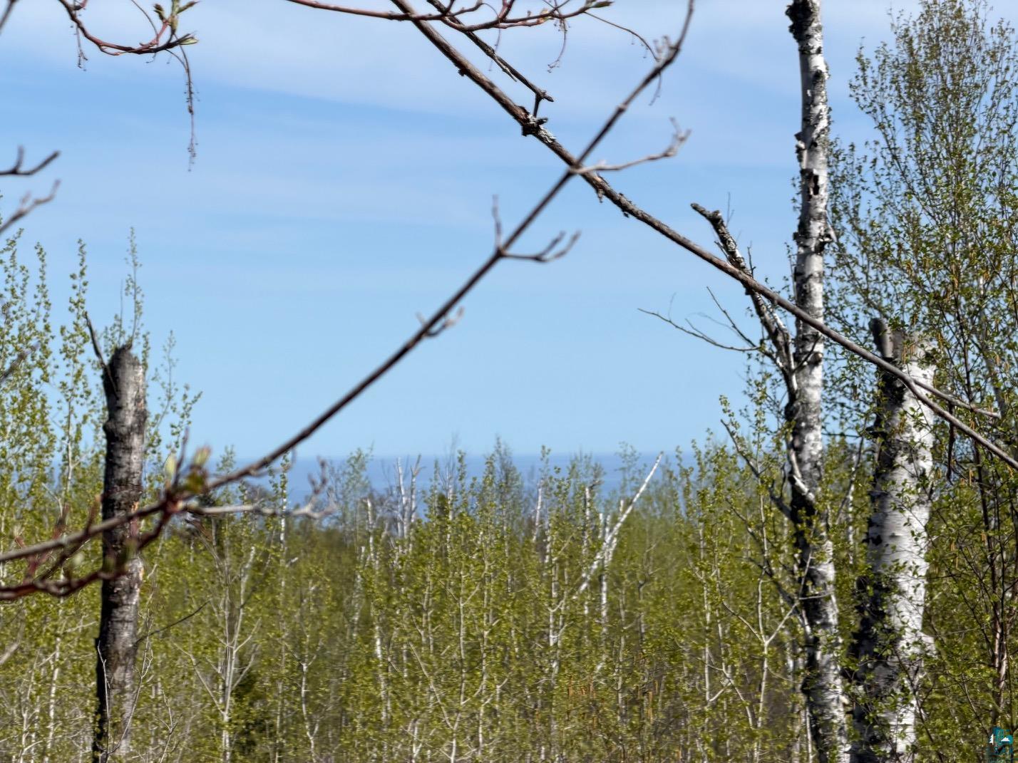 Lot 5 Birch Cliff Dr Tofte MN 55615 6126554 image4