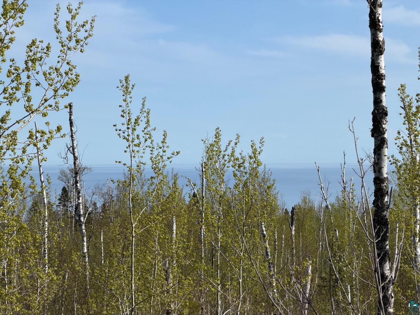 Lot 5 Birch Cliff Dr Tofte MN 55615 6126554 image6