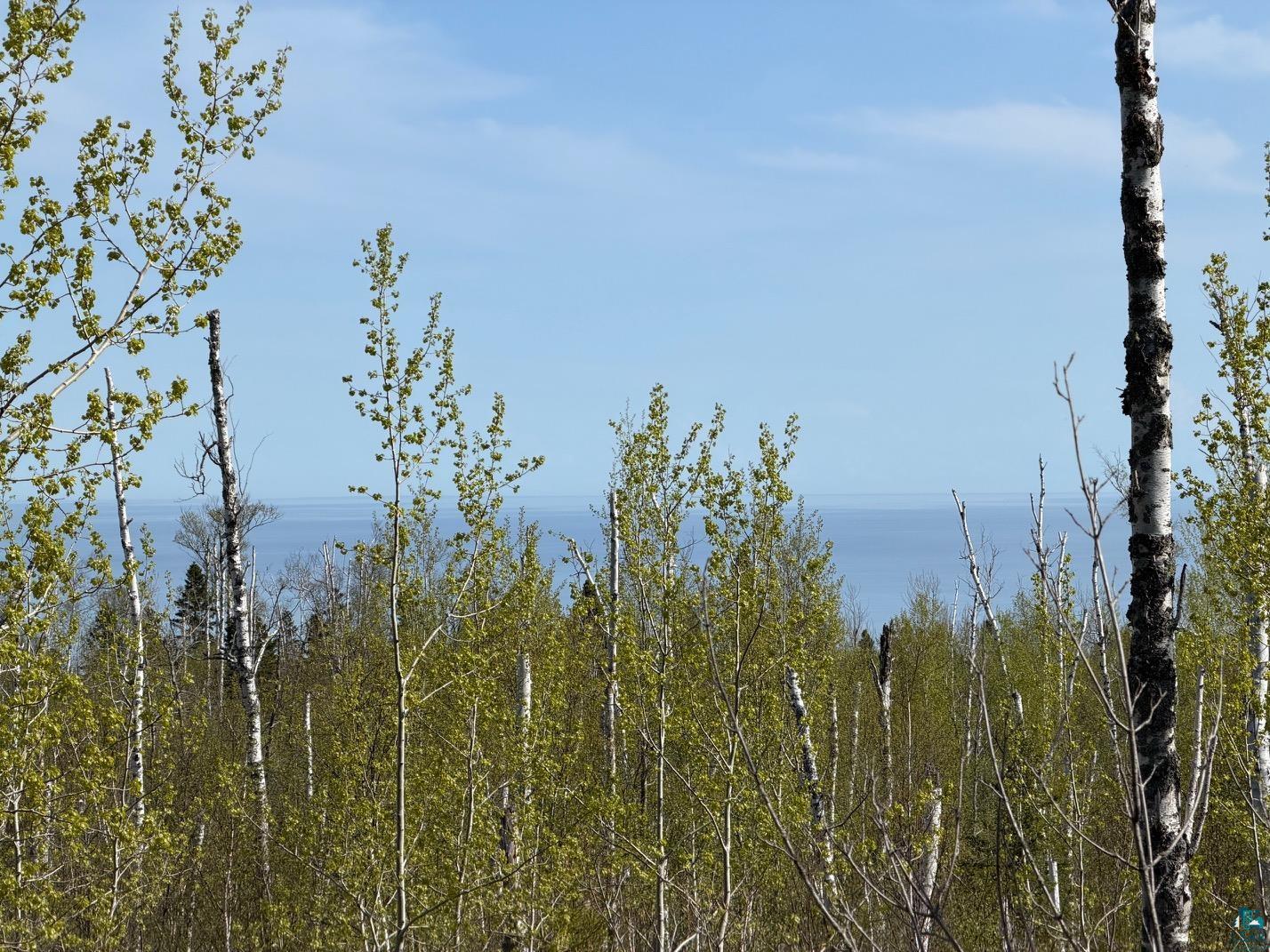 Lot 5 Birch Cliff Dr Tofte MN 55615 6126554 image7