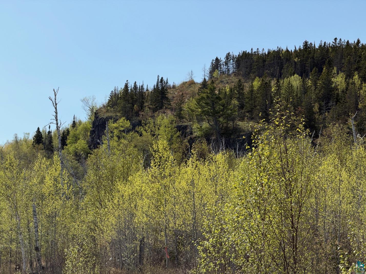 Lot 5 Birch Cliff Dr Tofte MN 55615 6126554 image8