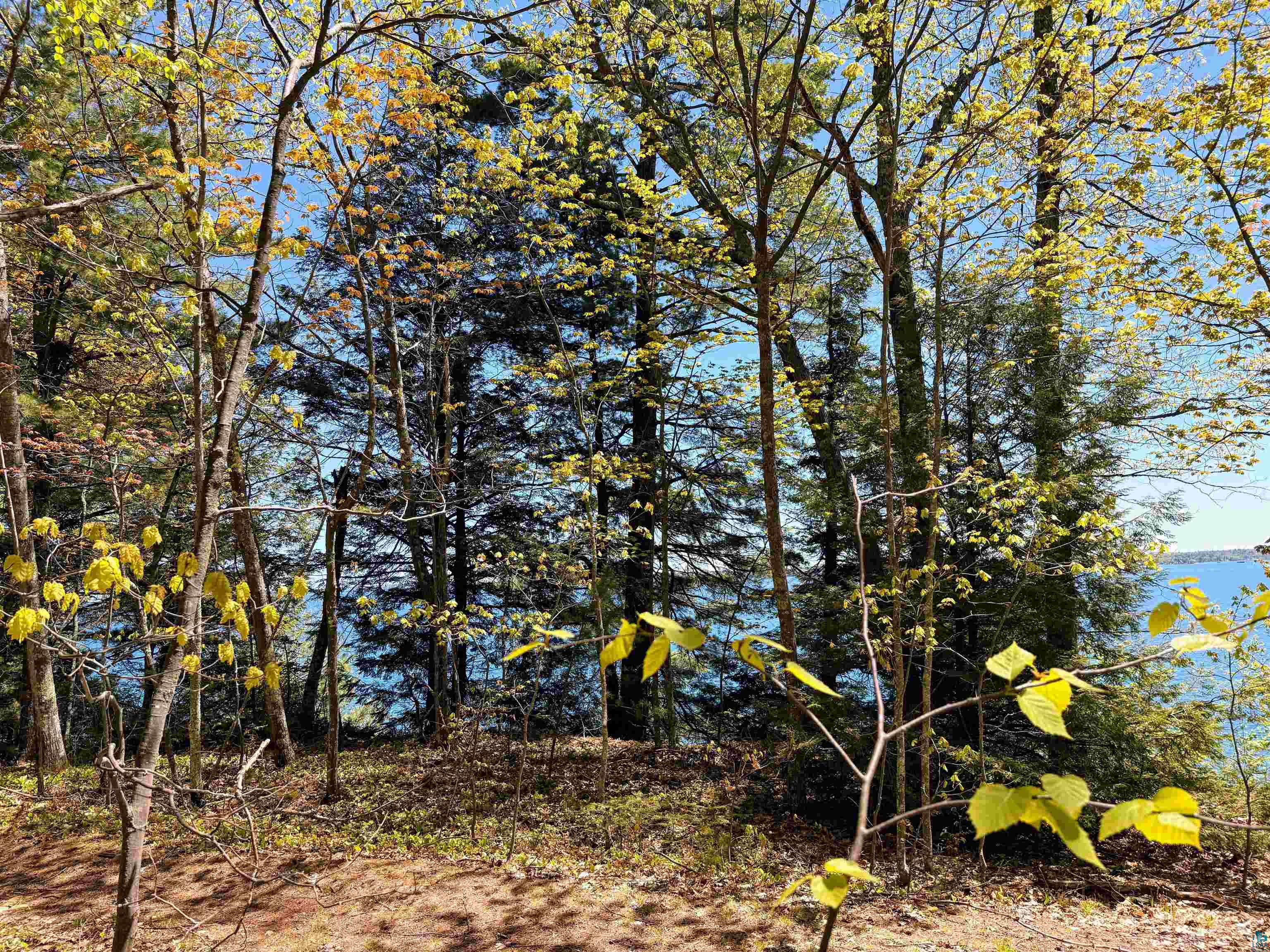 Lot 5 Blue Wing Bay Rd Bayfield WI 54814 - Lake Superior 6125701 image10