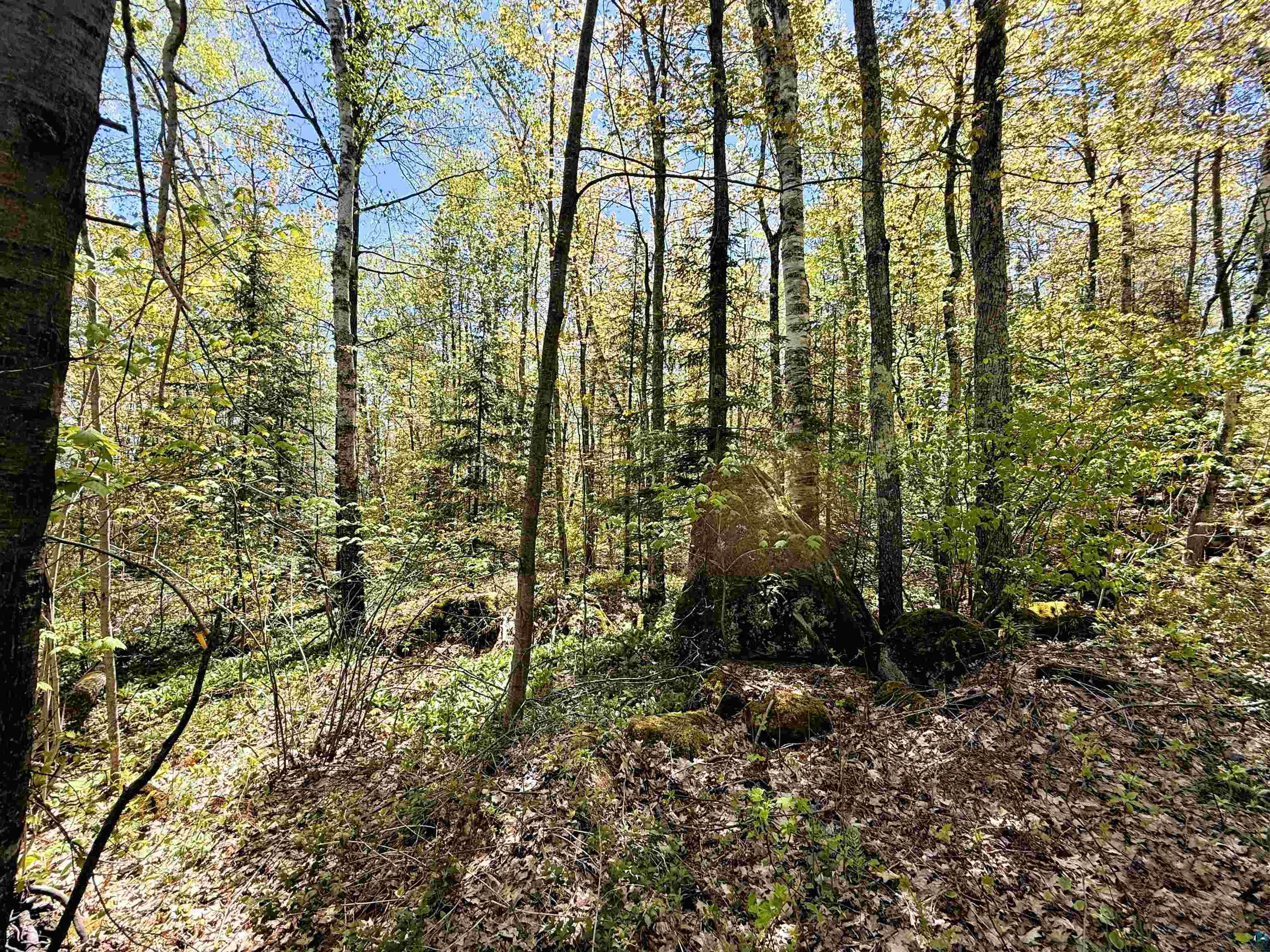 Lot 5 Blue Wing Bay Rd Bayfield WI 54814 - Lake Superior 6125701 image11