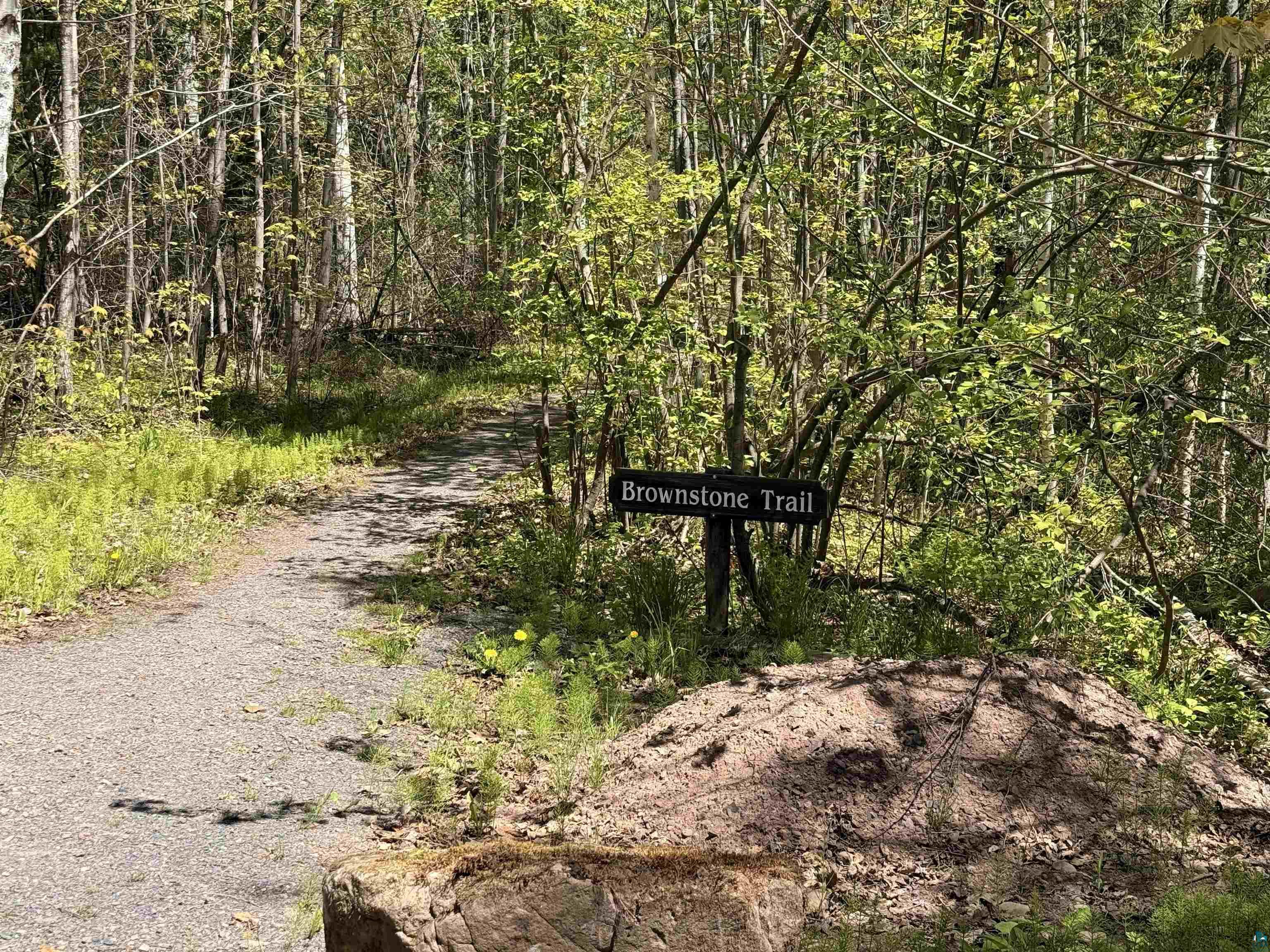 Lot 5 Blue Wing Bay Rd Bayfield WI 54814 - Lake Superior 6125701 image5