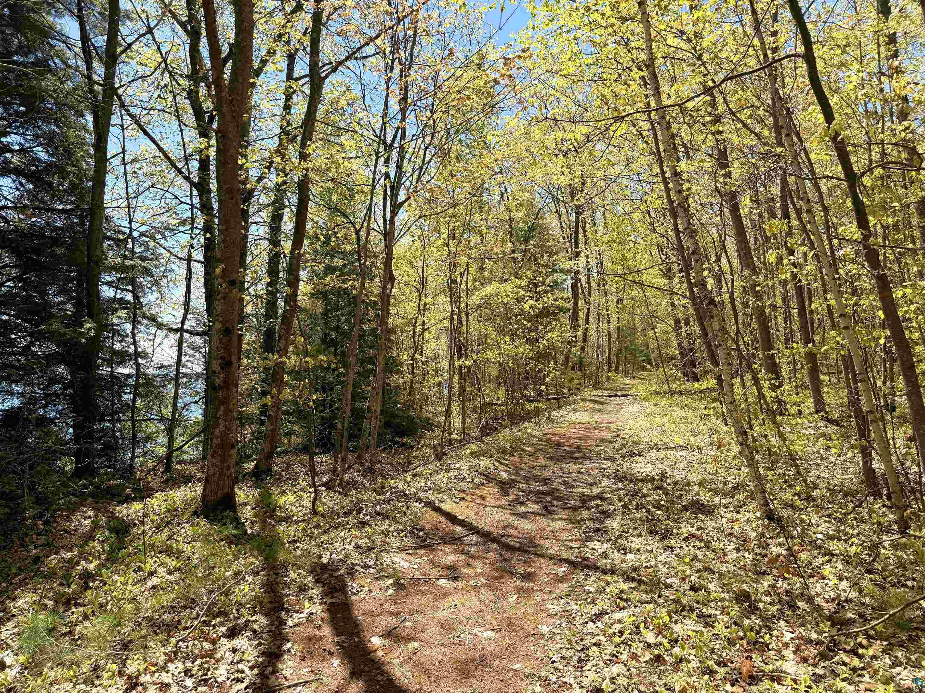 Lot 5 Blue Wing Bay Rd Bayfield WI 54814 - Lake Superior 6125701 image7