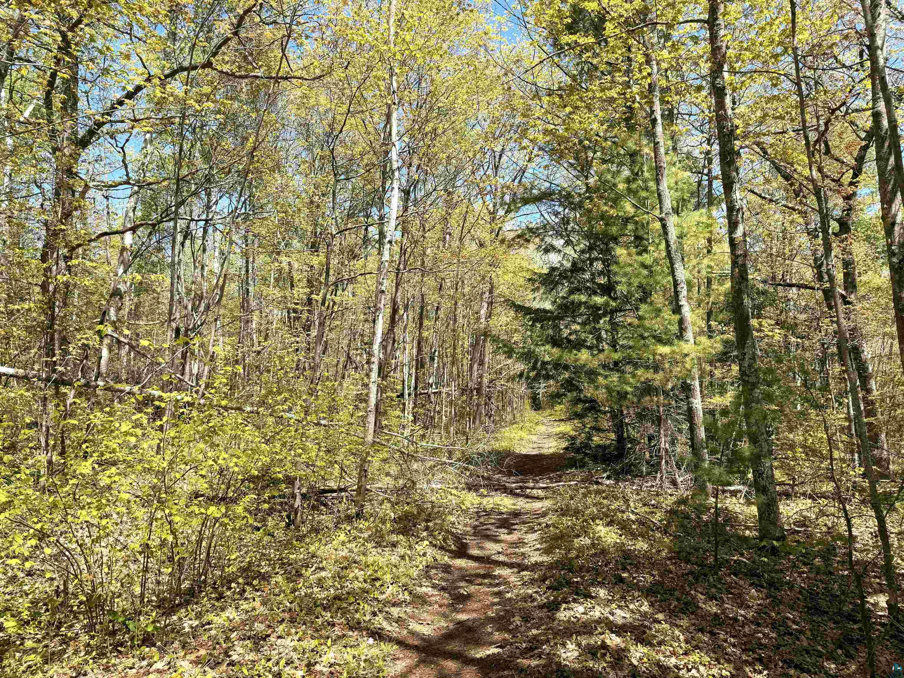 Lot 5 Blue Wing Bay Rd Bayfield WI 54814 - Lake Superior 6125701 image8