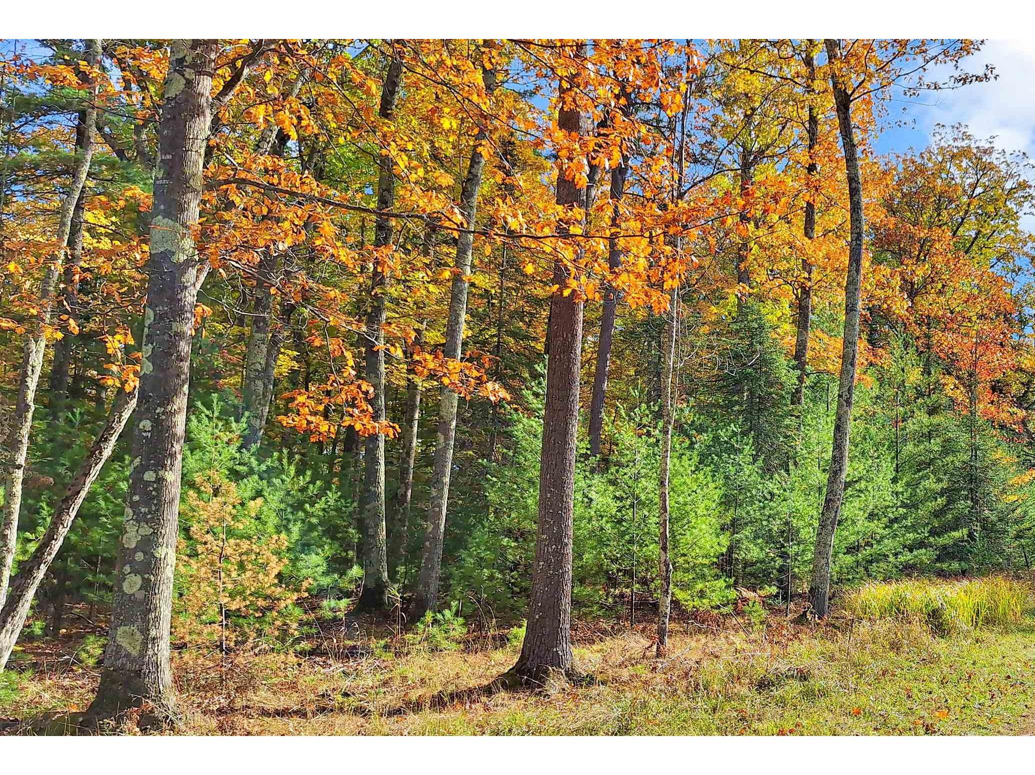 Lot 5 Raspberry Trl Lapointe WI 54850 6116754 image5